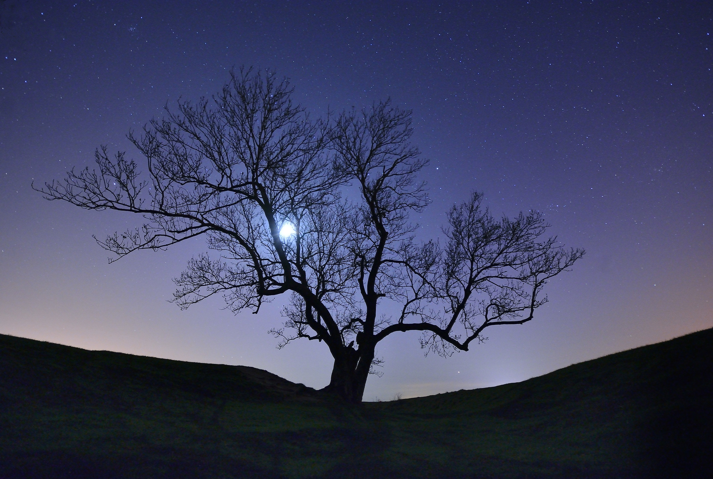 Juza Arrivederci! (A causa di problemi di salute mentale)