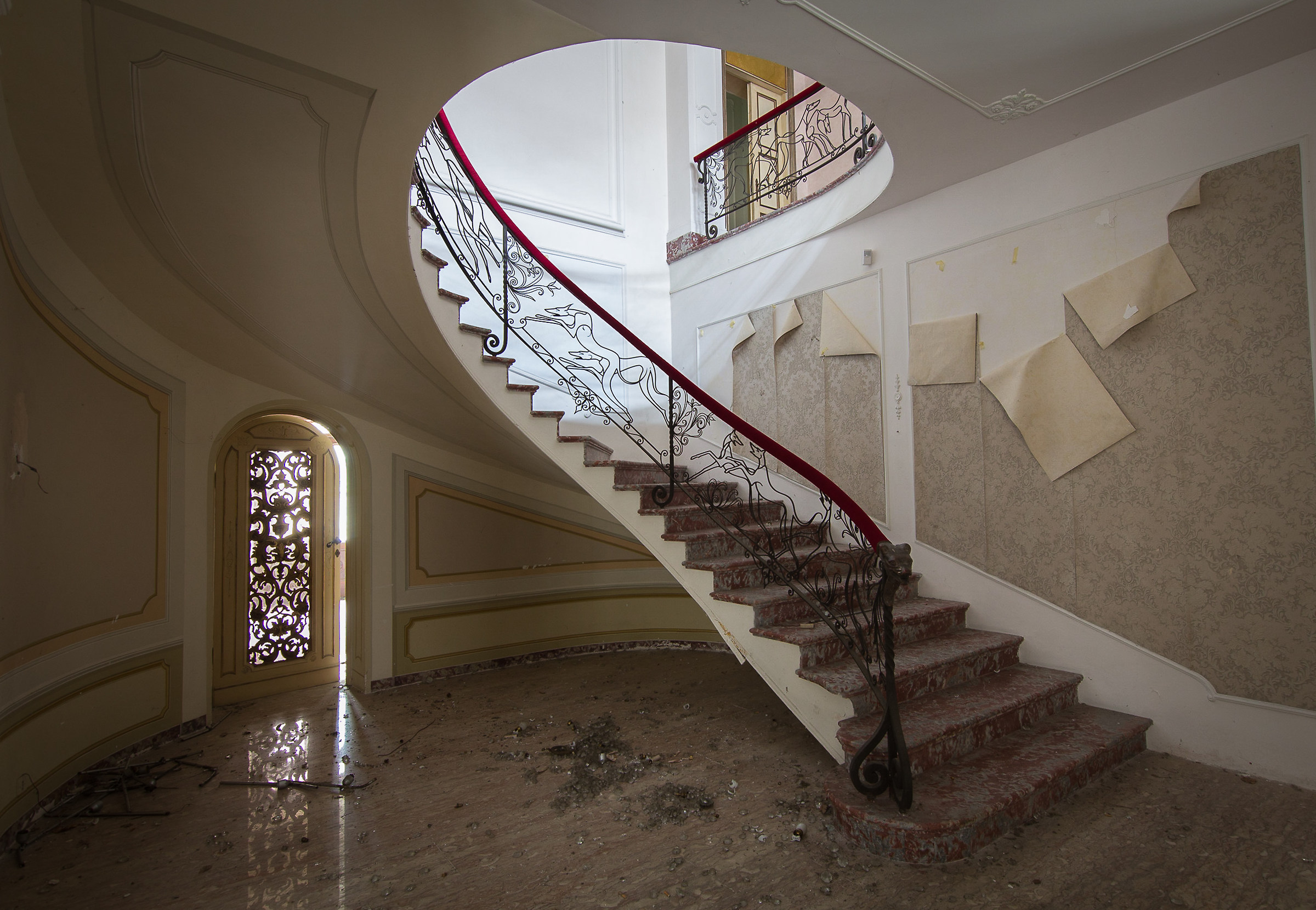 The handrail of the dogs