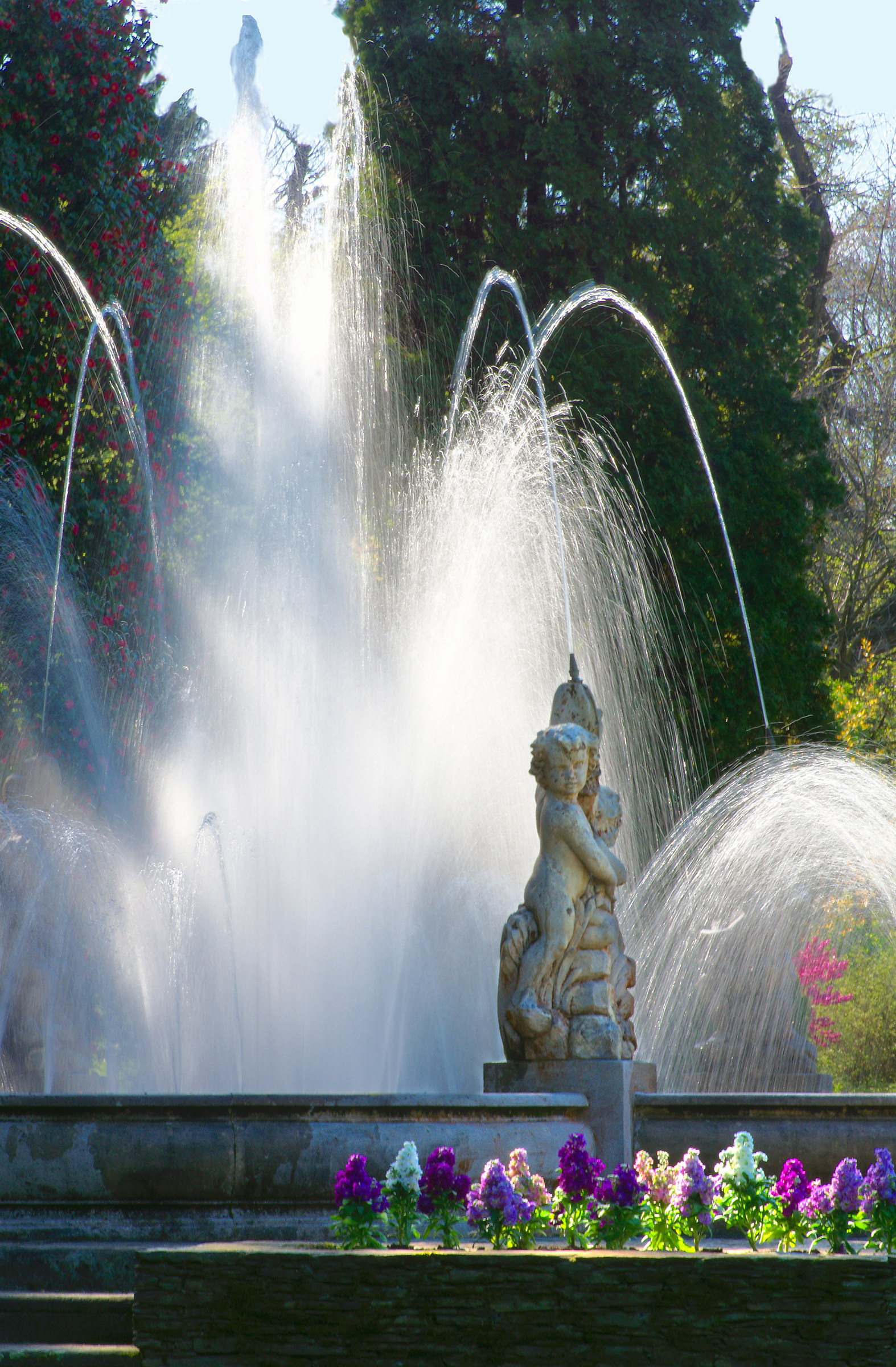 Giochi d'acqua e luce a Villa Taranto
