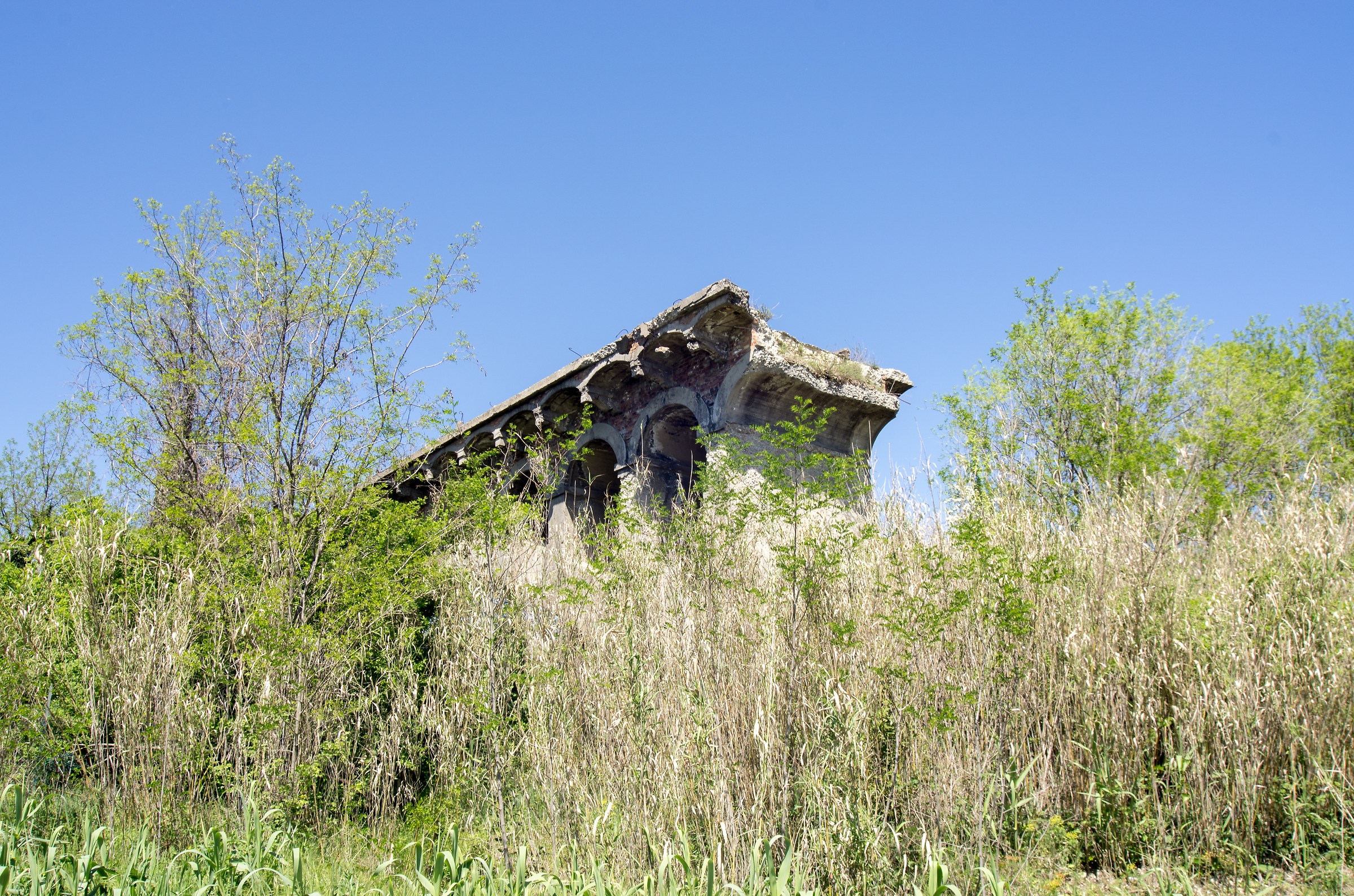 Remnants of a bygone age