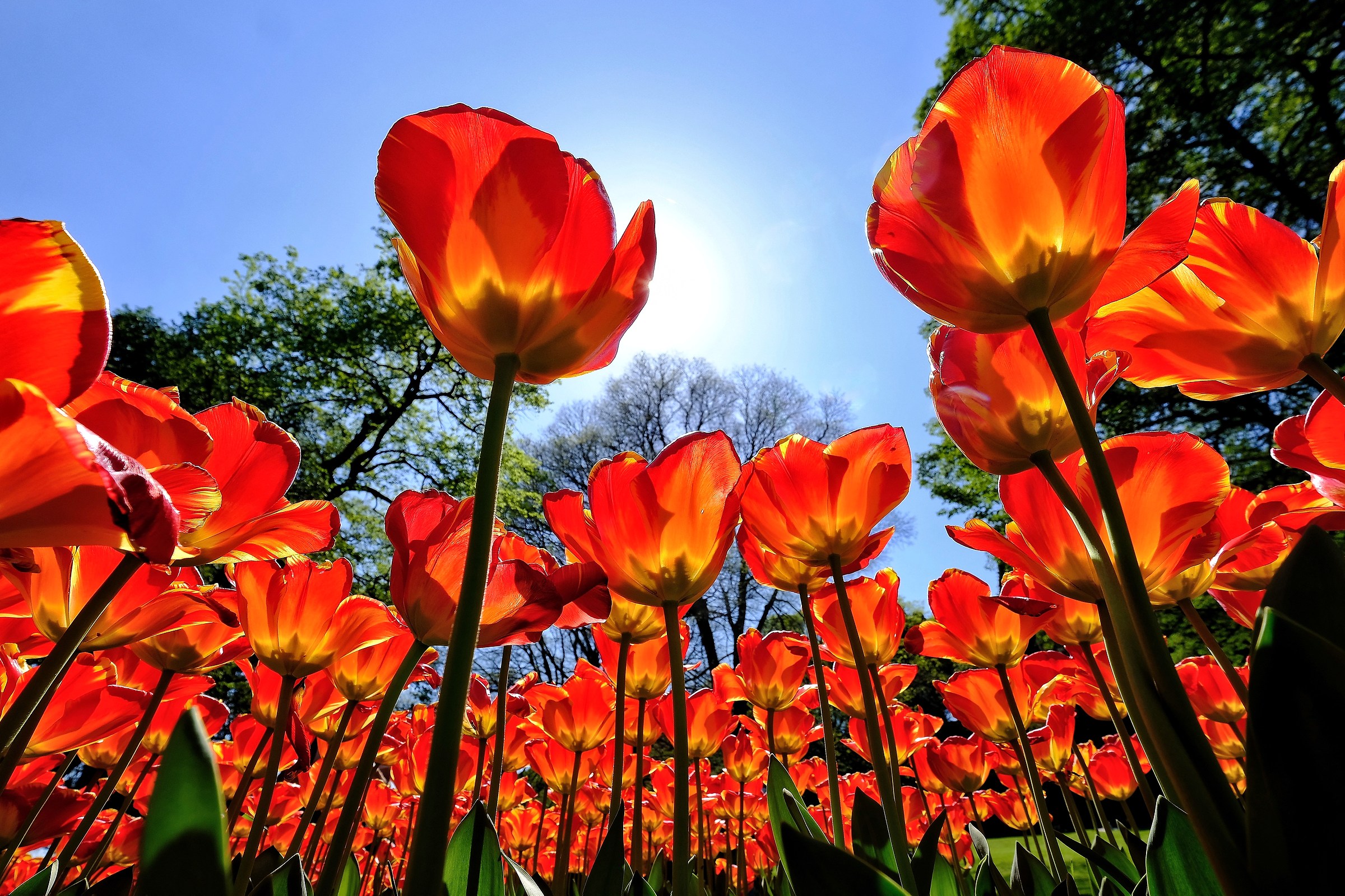 Unusual perspectives.