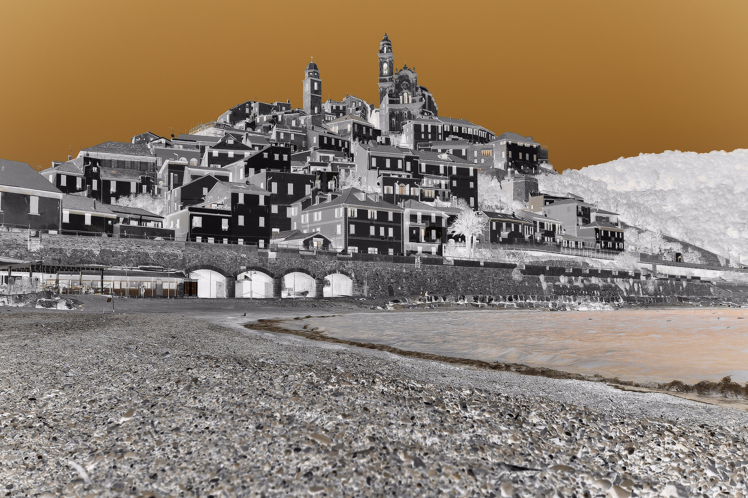 Cervo in negativo...