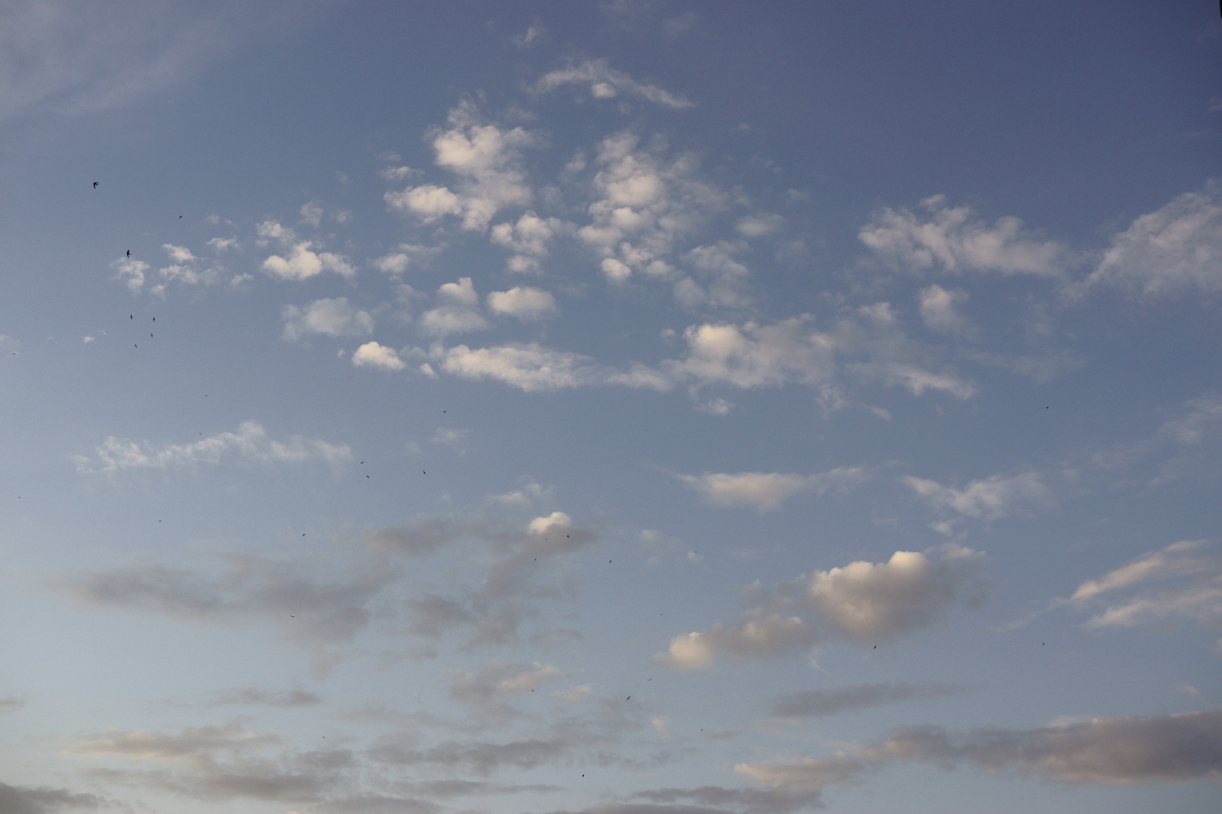 Nuvole al tramonto (re-edited)