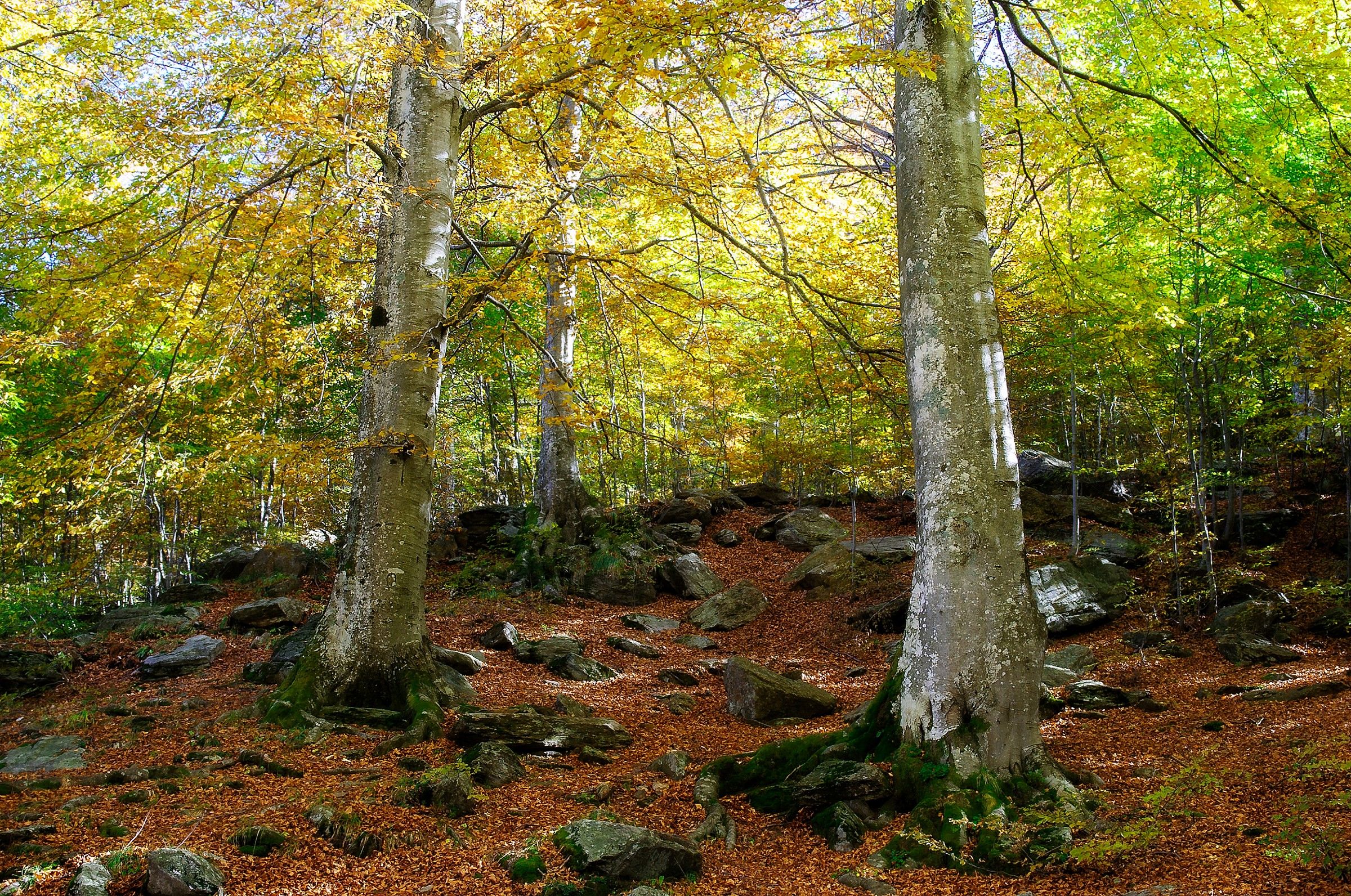 Luci e colori d'autunno