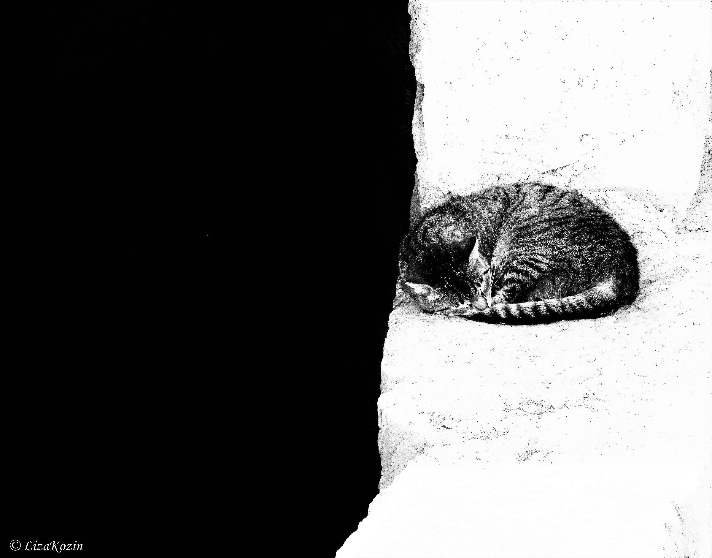 Do not disturb. (Torre Argentina)