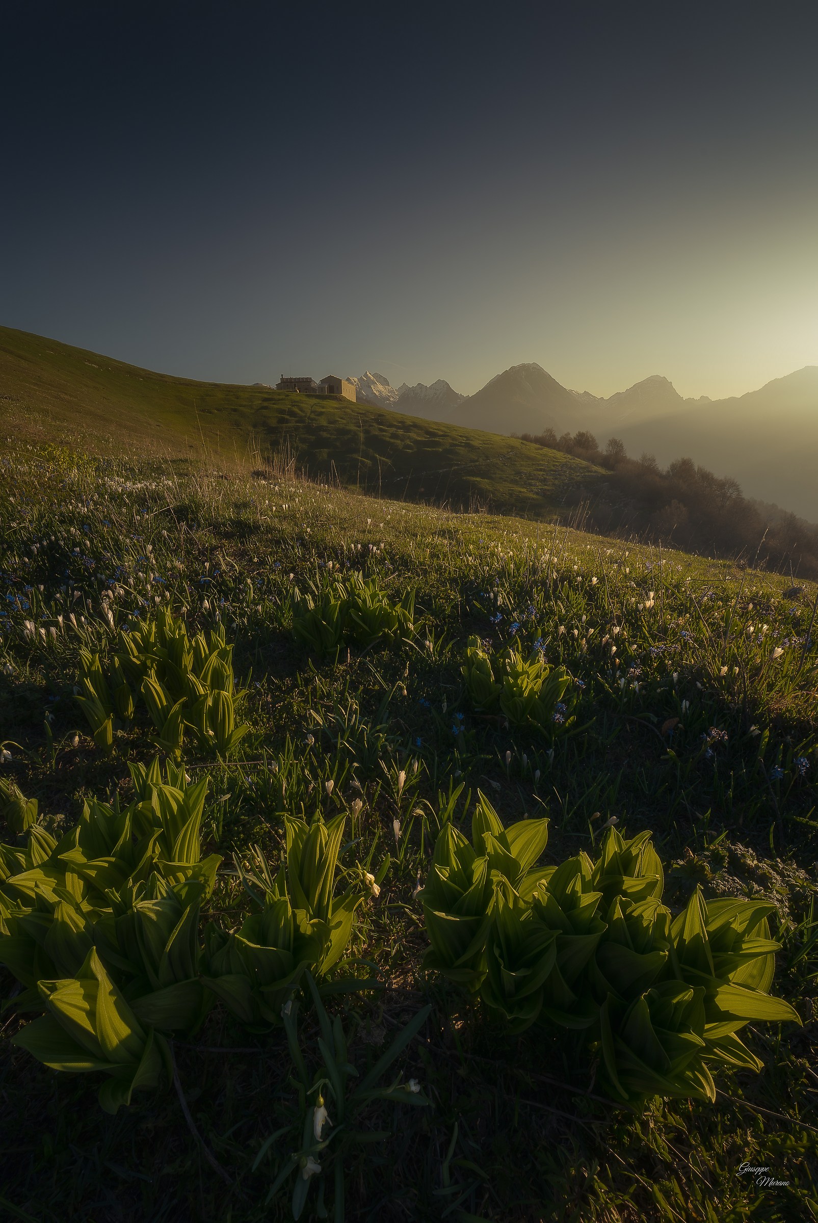 Finalmente primavera!