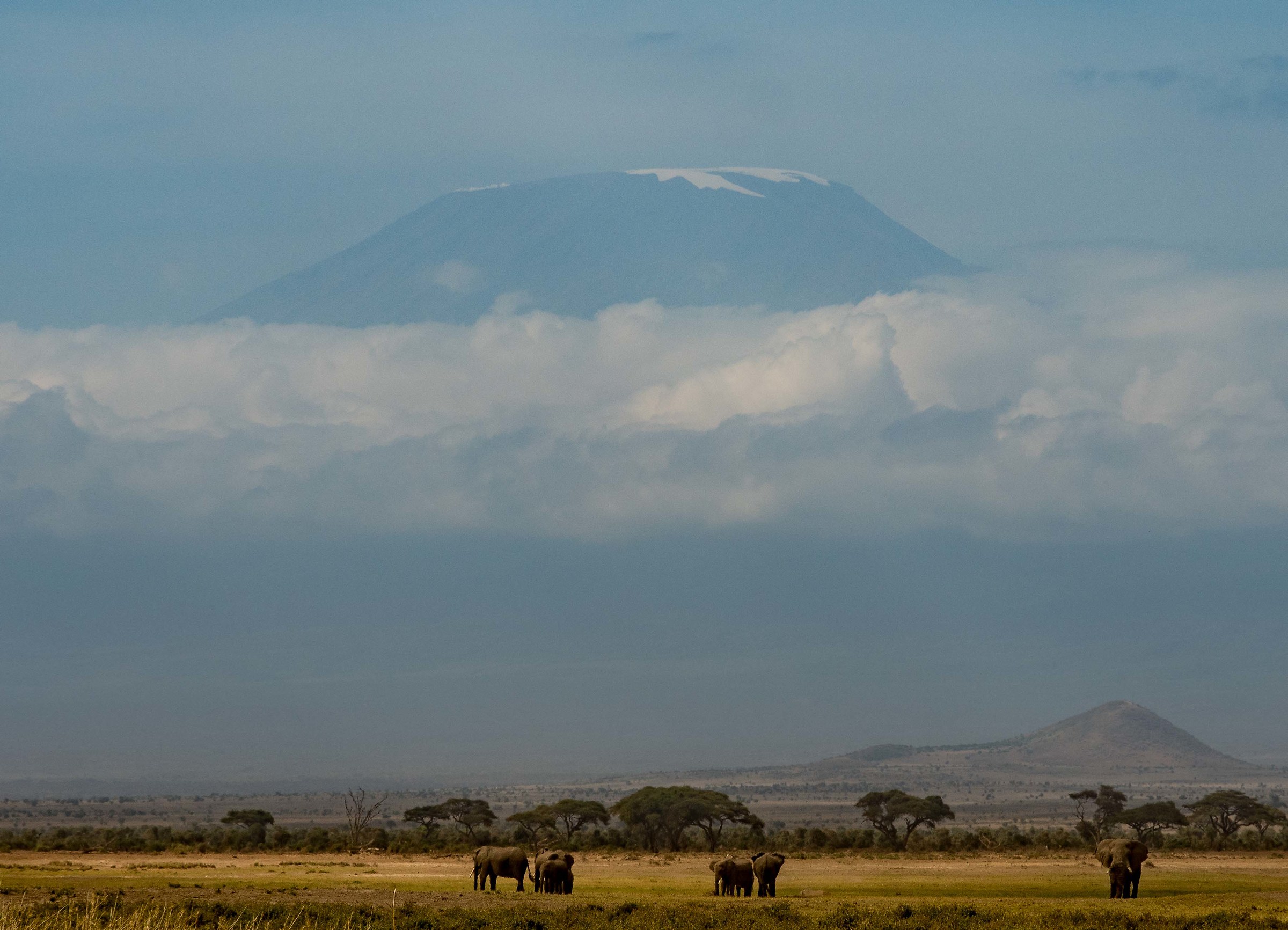 The Kilimanjaro