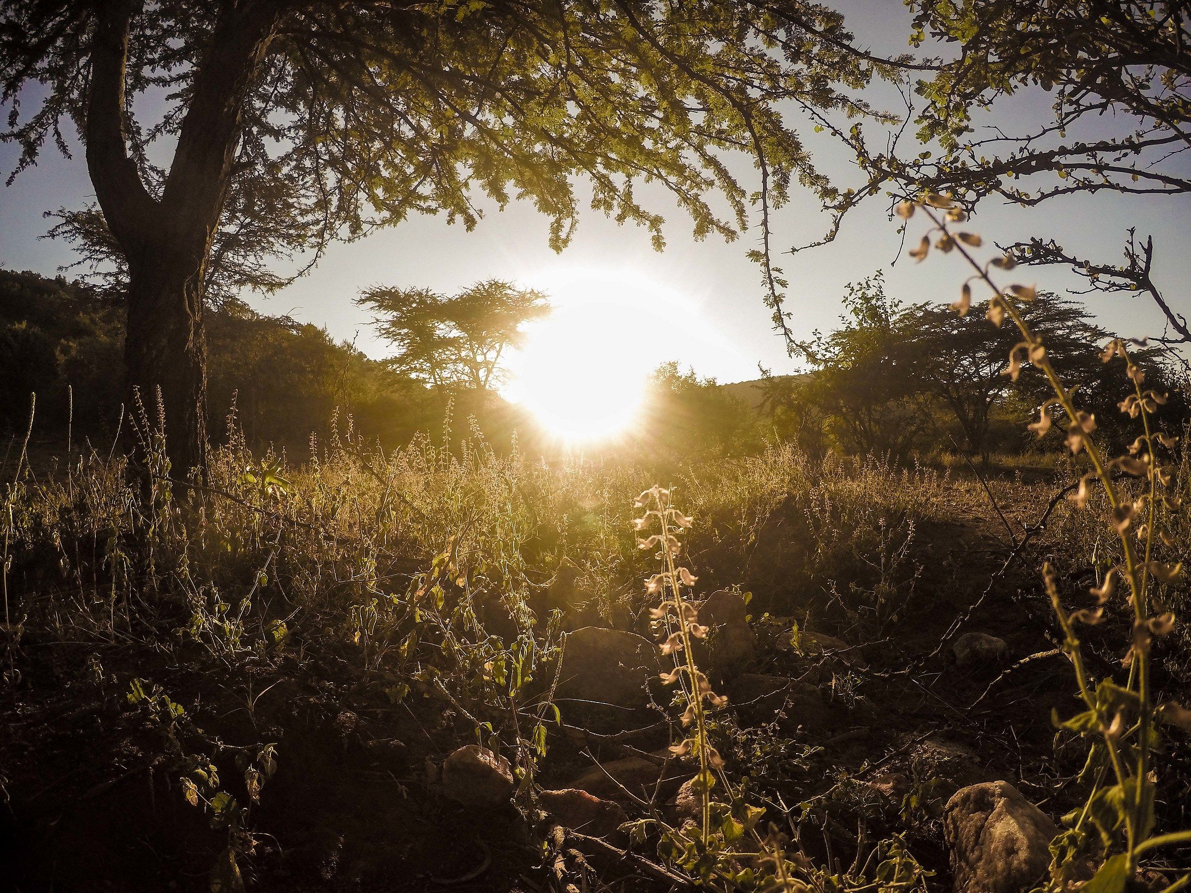 Sunrise in the Maasai Mara