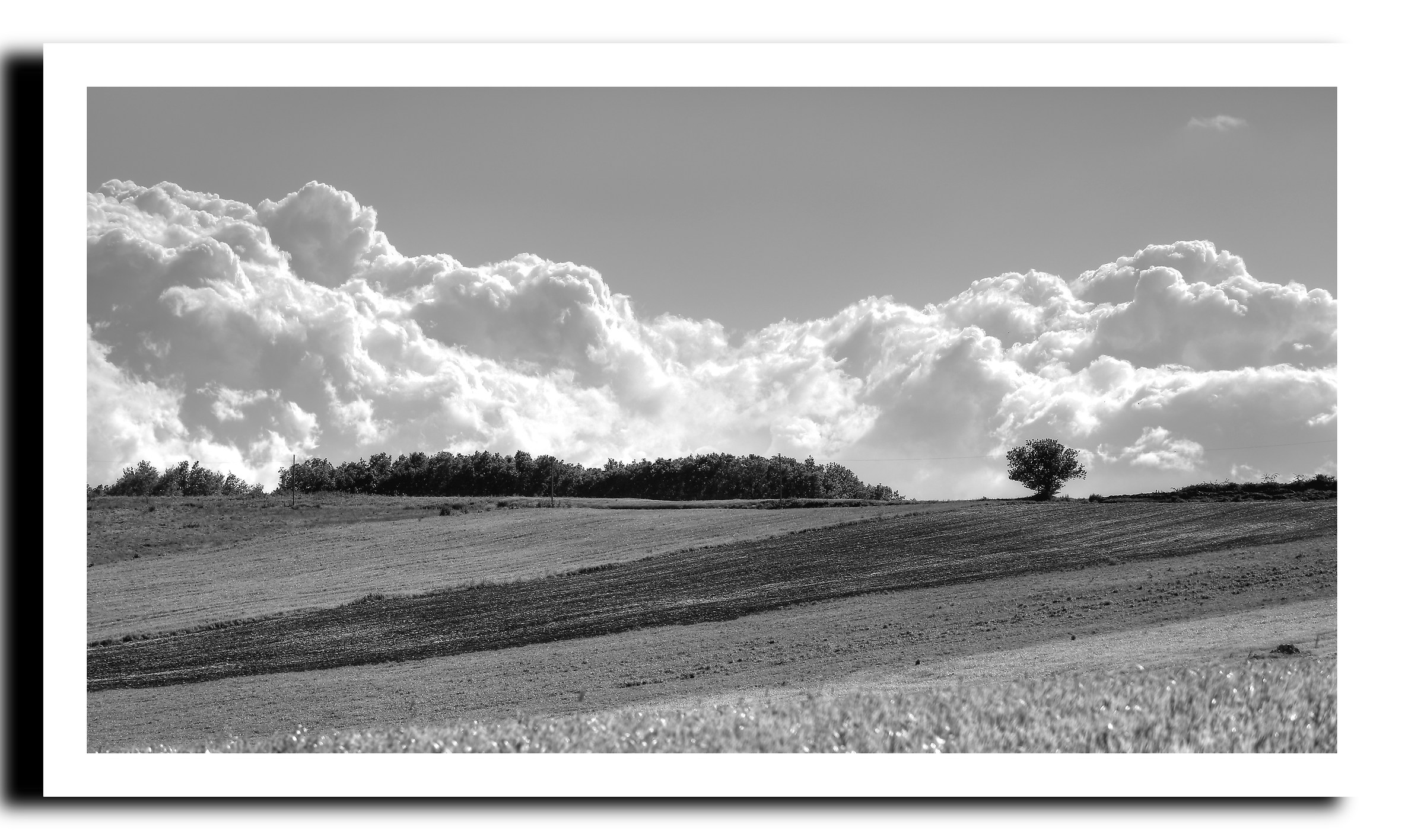 Un mattino di primavera