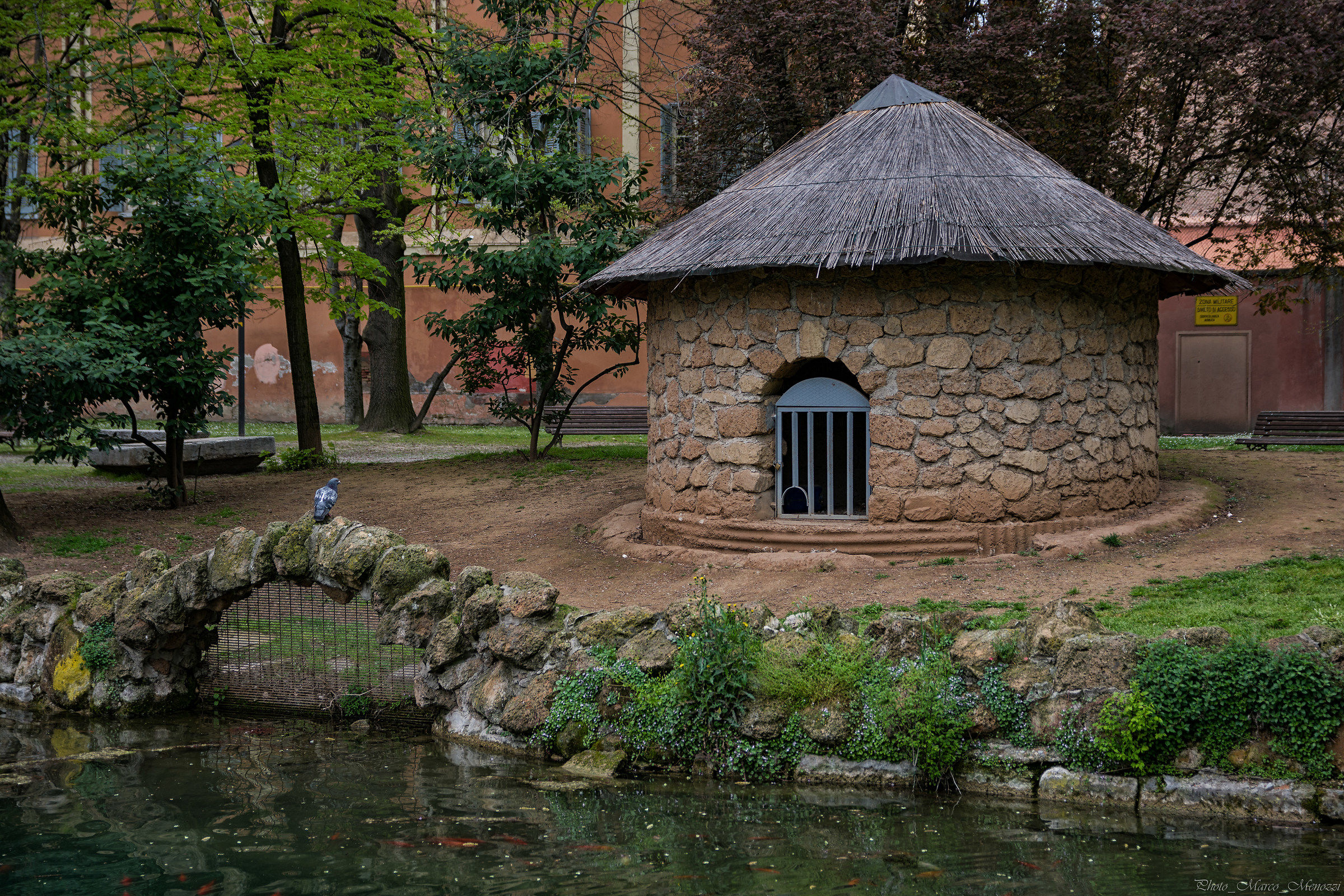 The pigeon and the hut, the brothers Grimmw