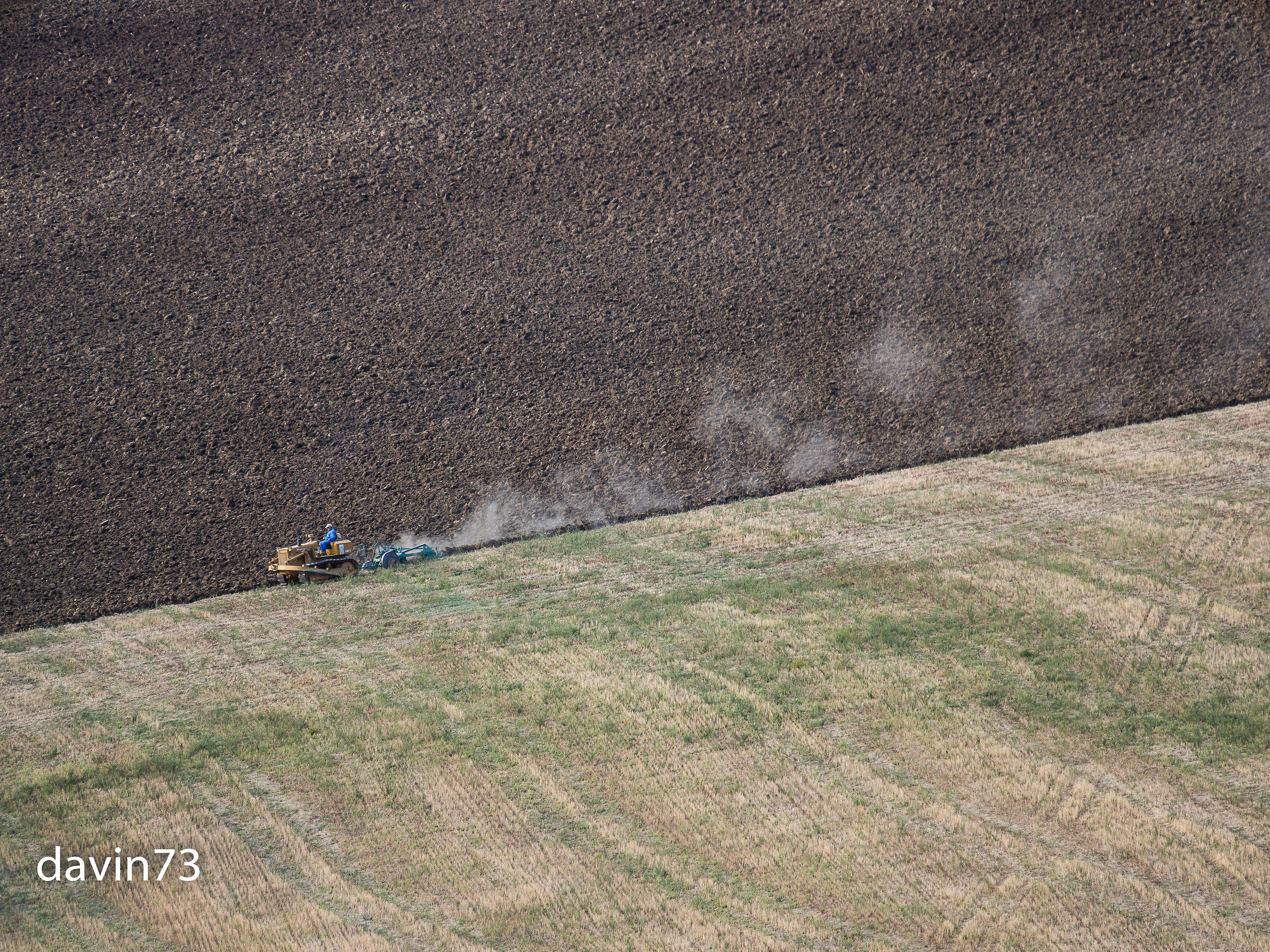 Down and out in the fields