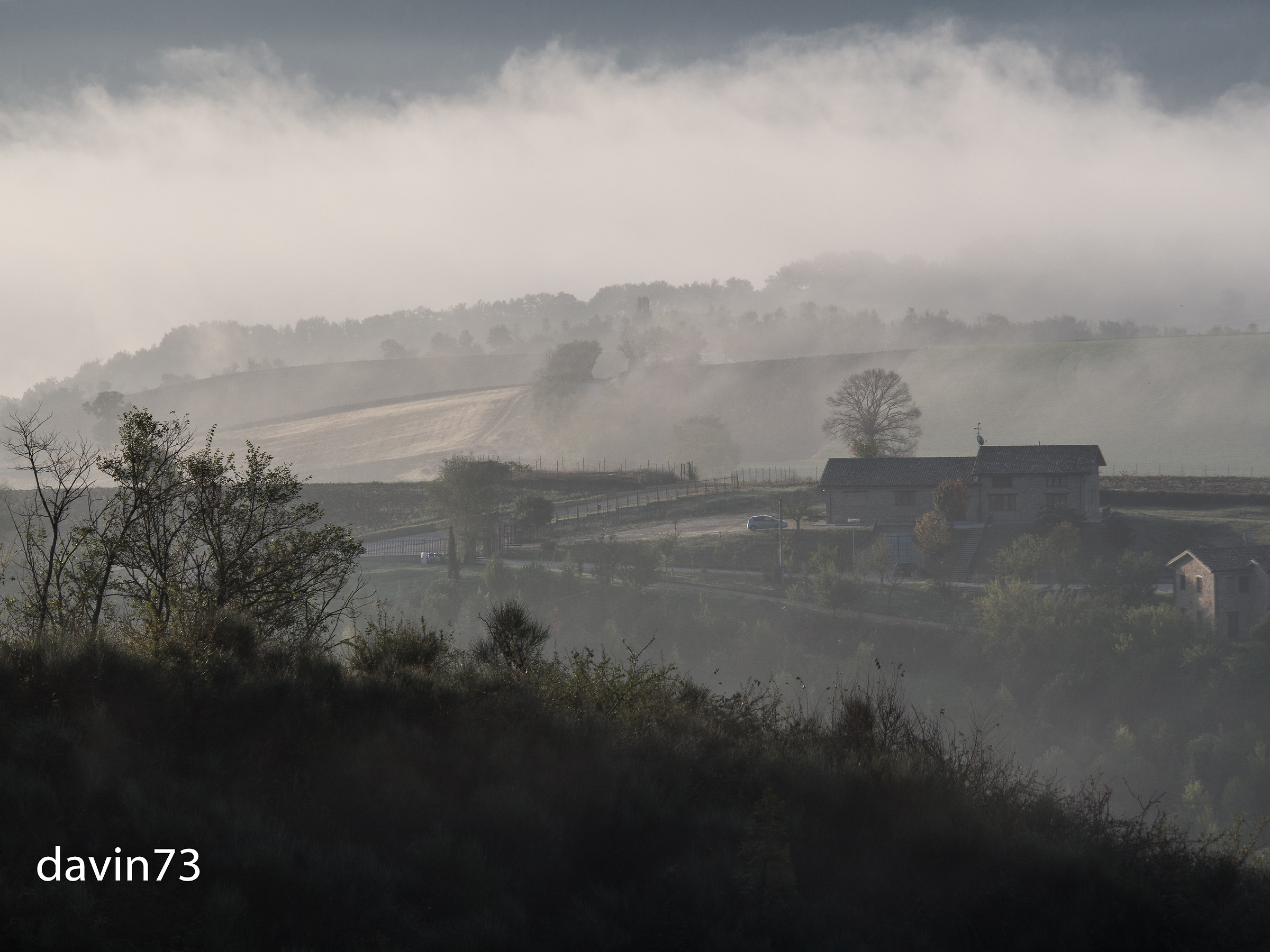 fog