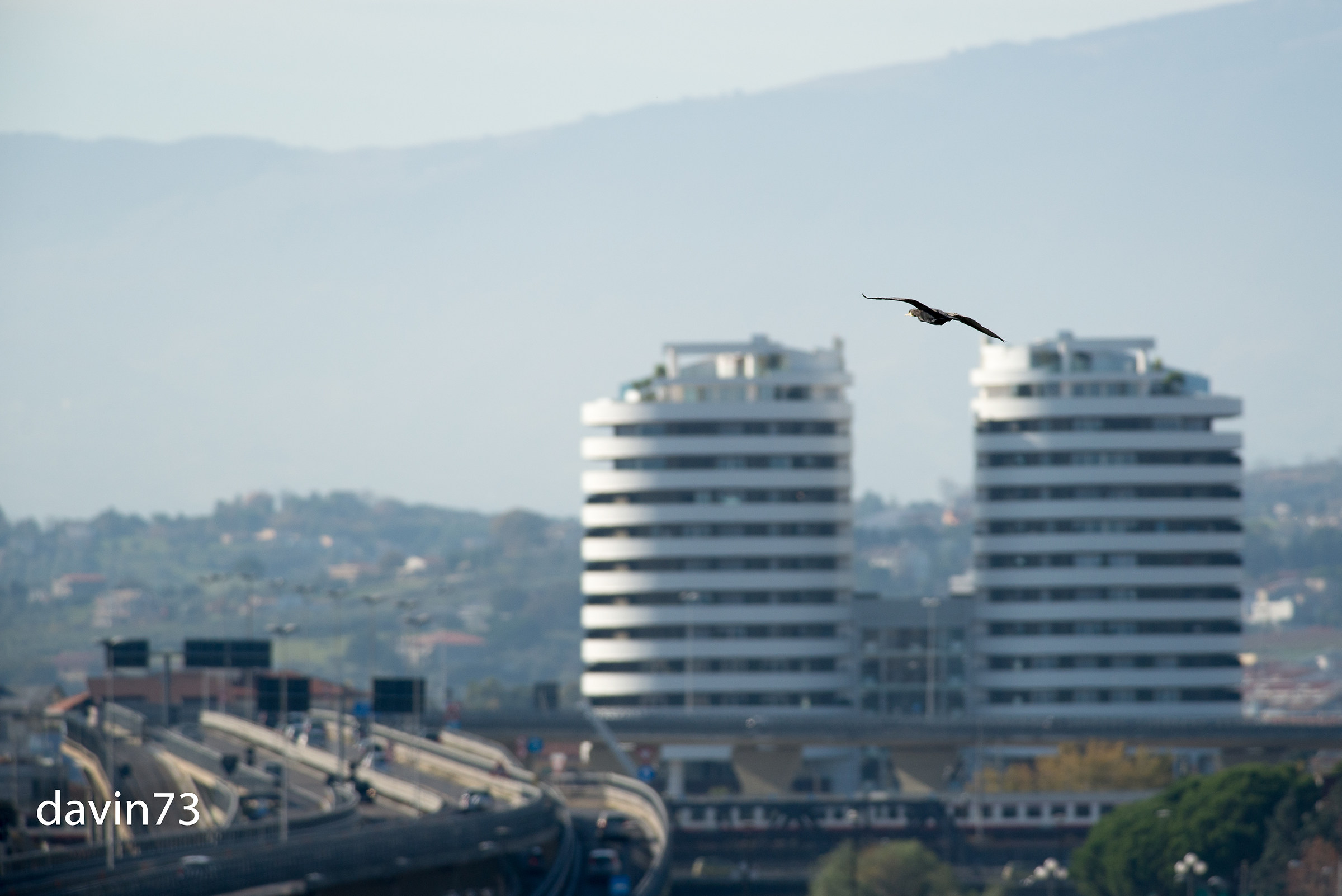 Pescara-flight between the towers