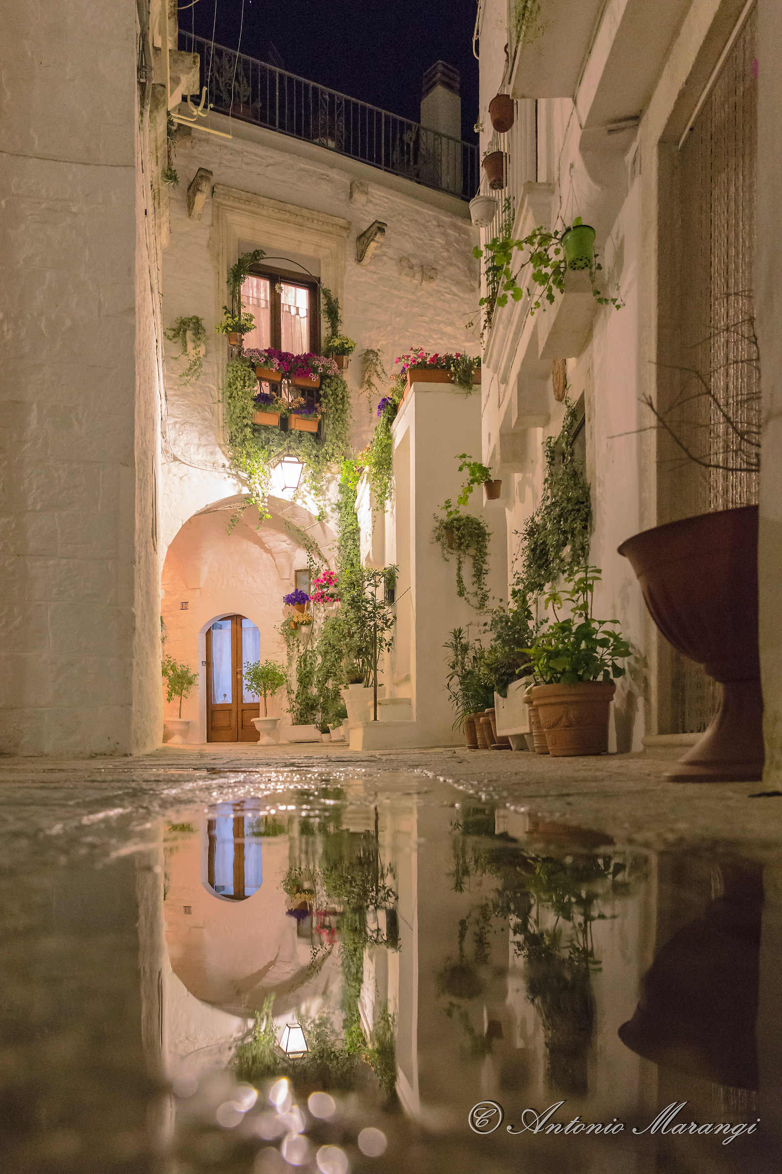 the village reflection