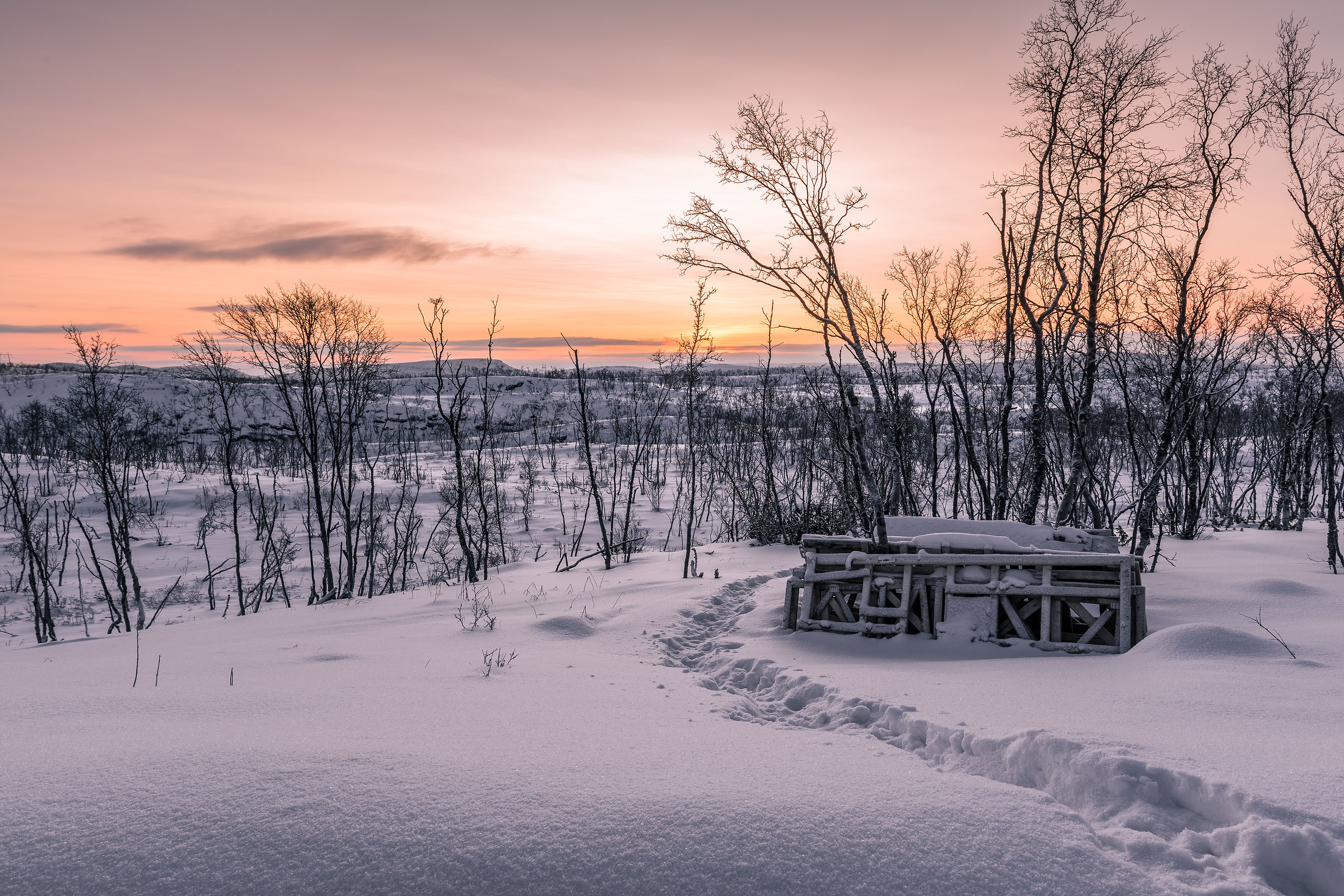 Un'alba in tarda mattinata....