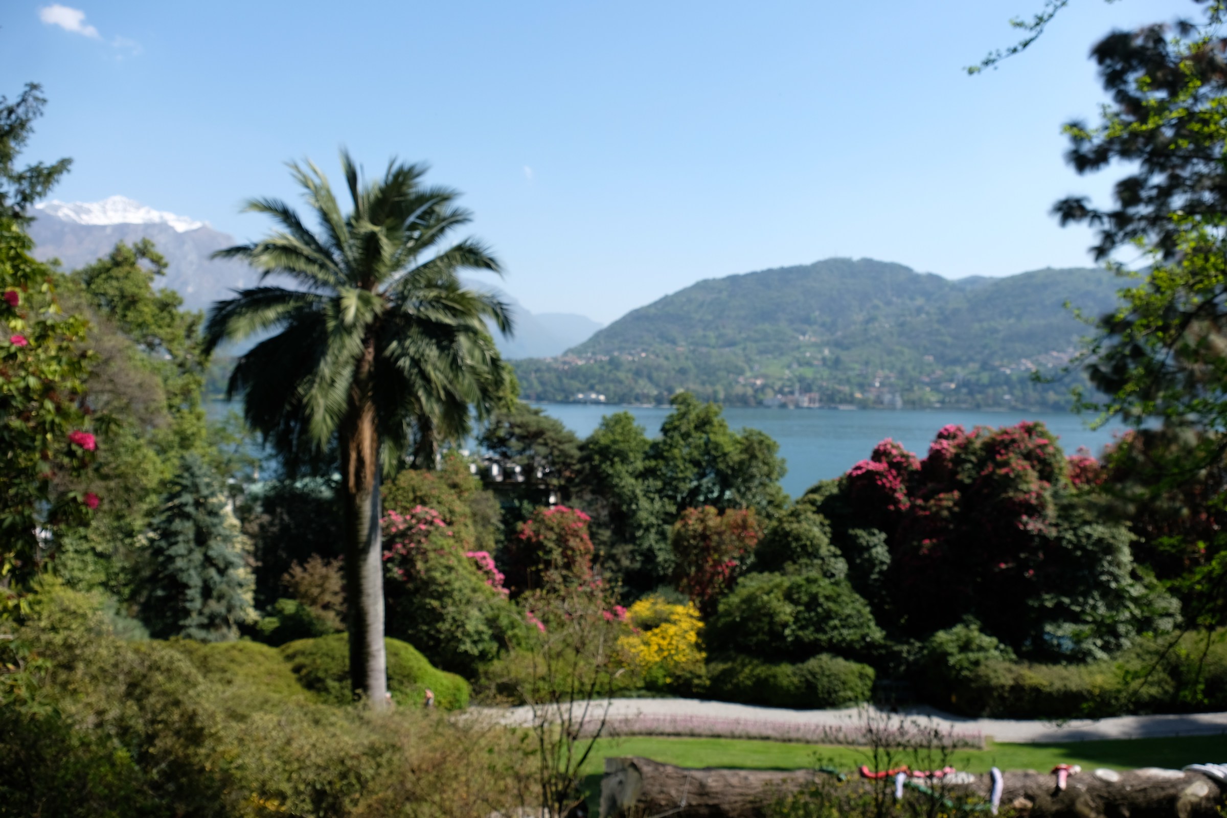 dscf2834 - Autofocus error.jpg