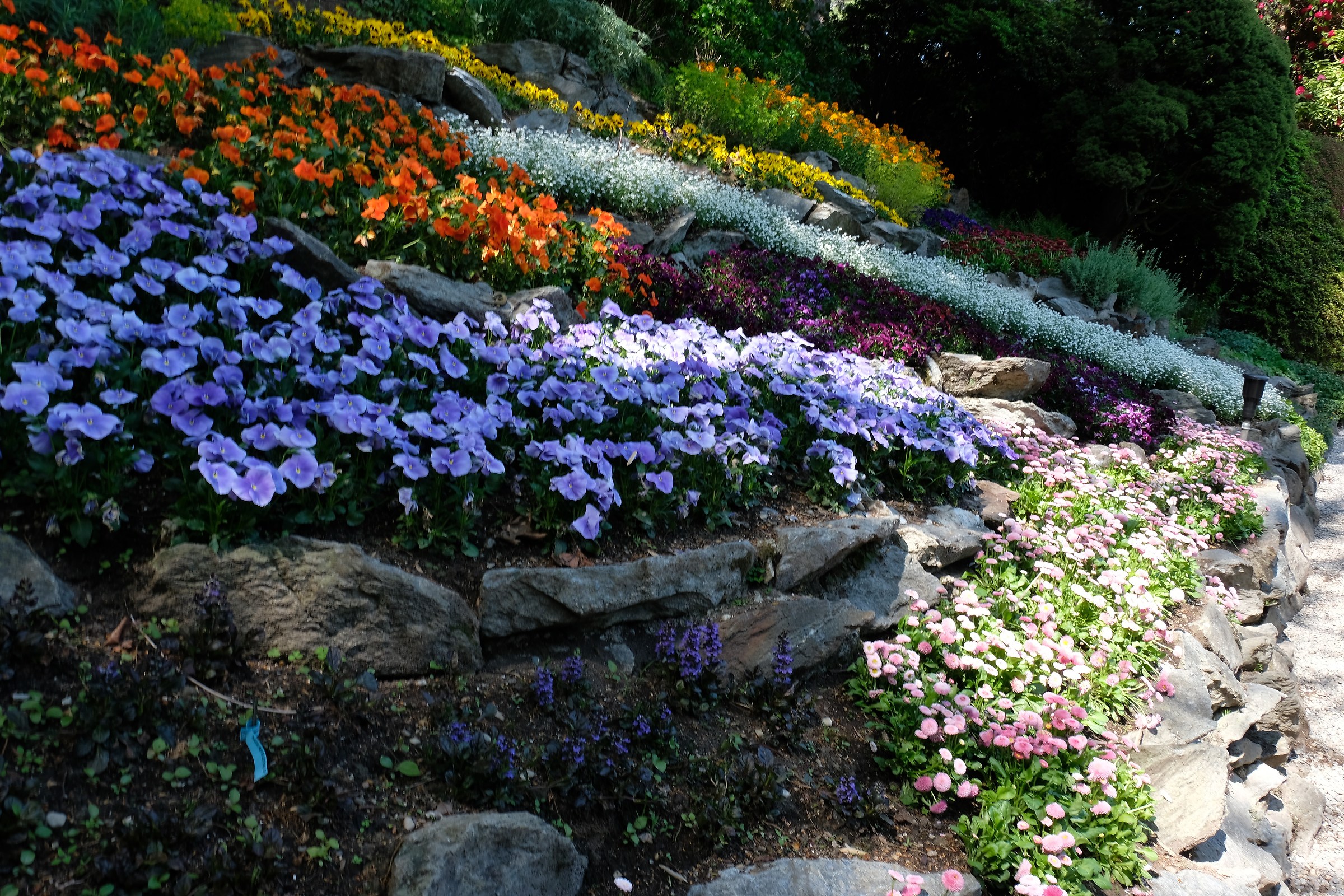 dscf2829 - Autofocus error.JPG