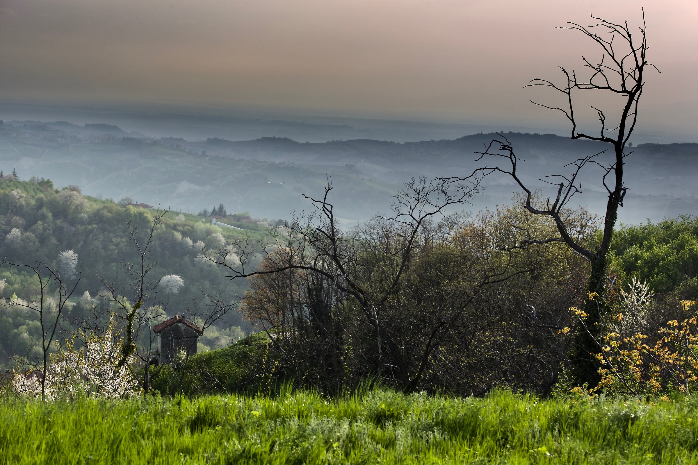 Prima del tramonto, collina delle Borine