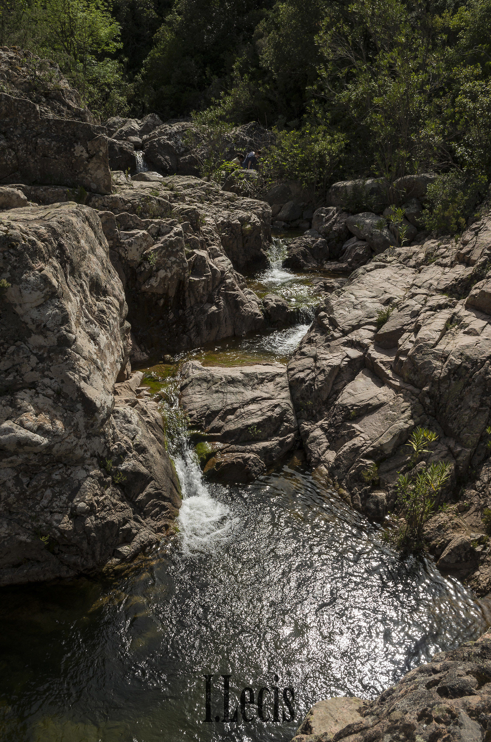 Seven brothers. In contact with nature