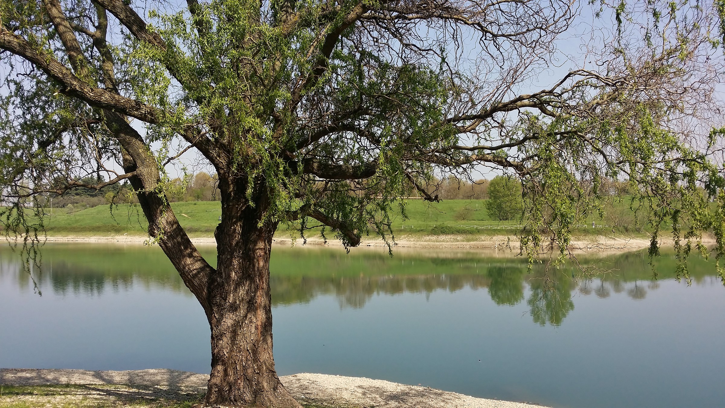 The awakening and stillness