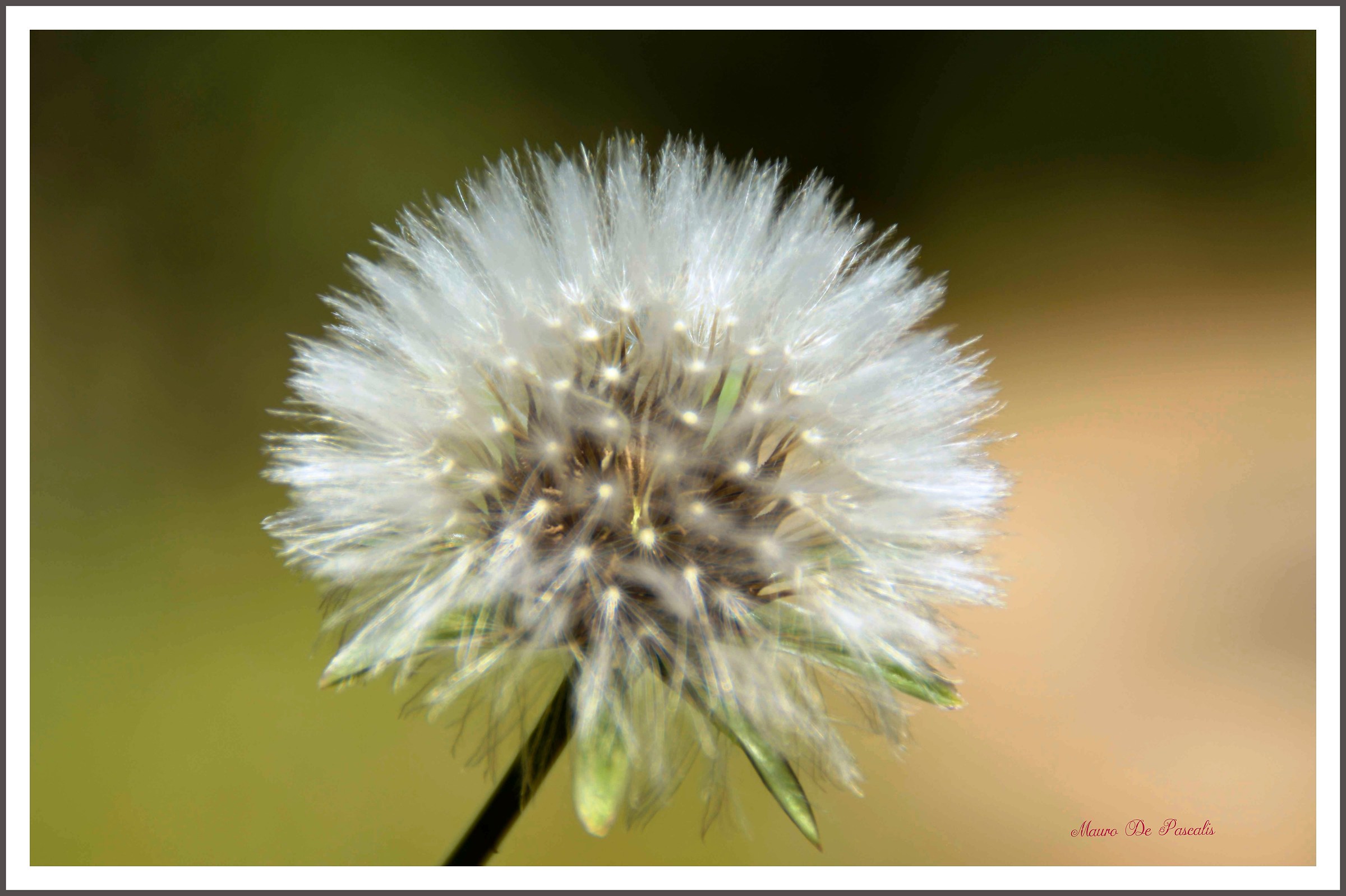 Waiting for the wind