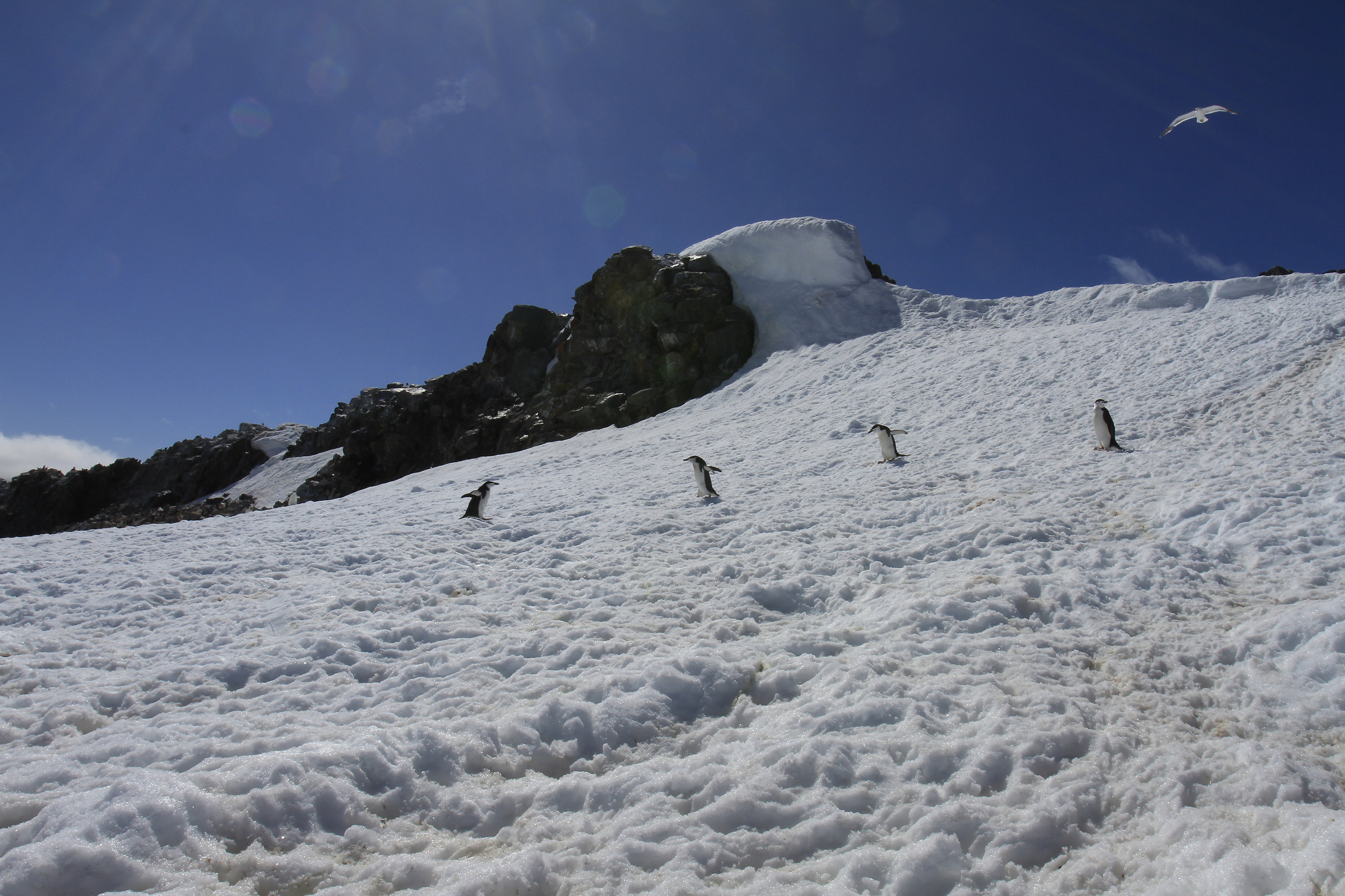 Walking in the street