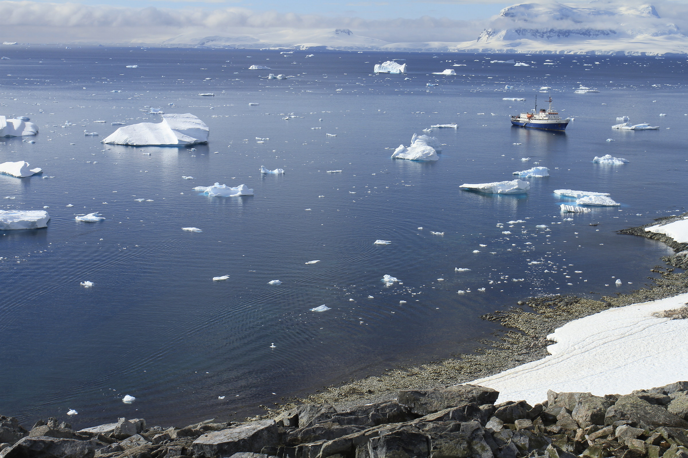 Between little Icebergs