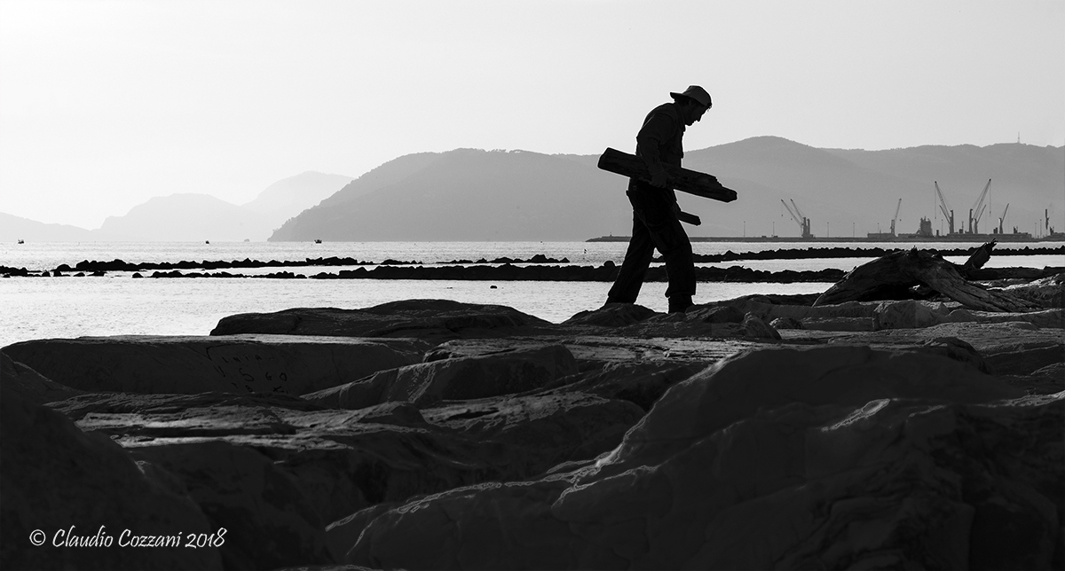 the Tin Woodman mare