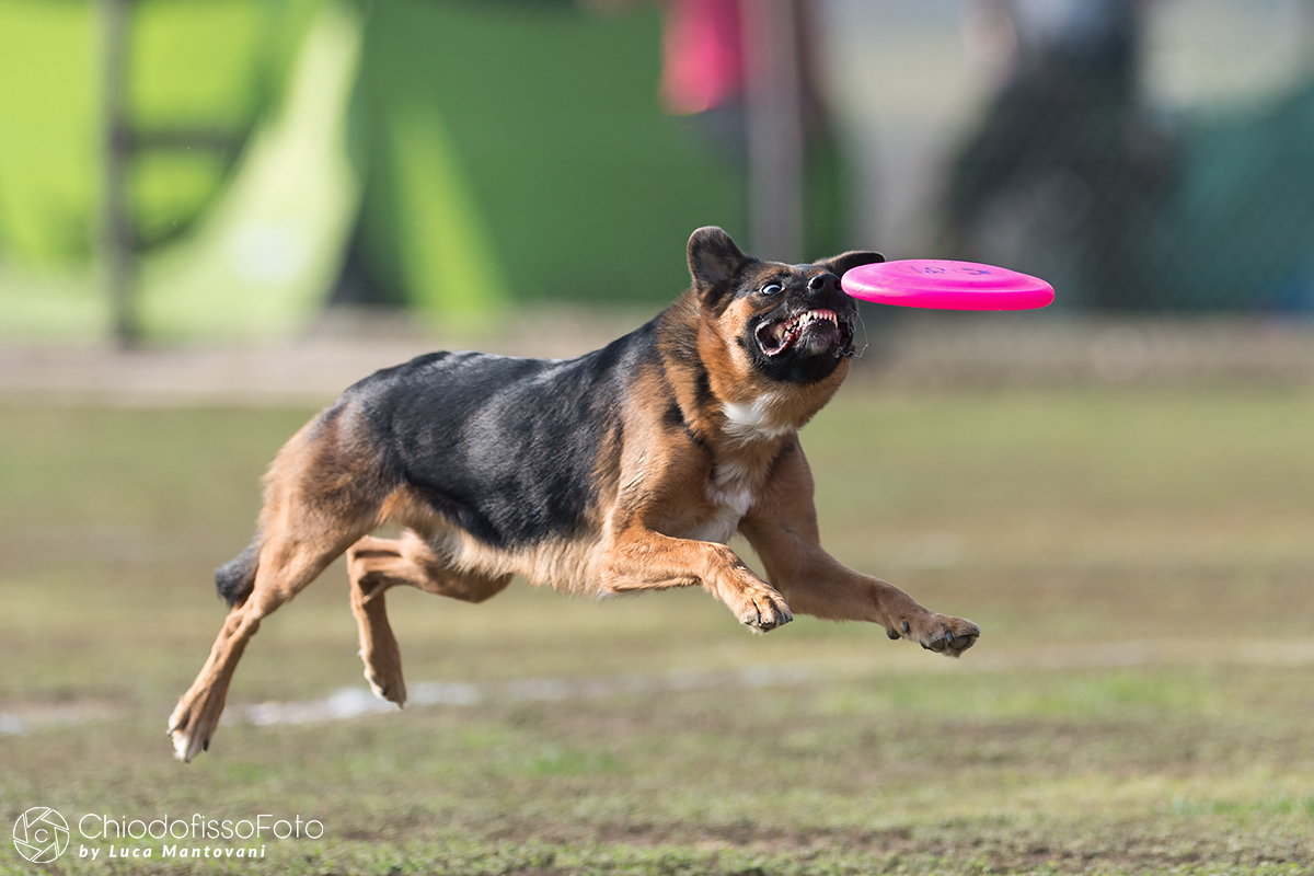 When it's bad, you just have to get a laugh!