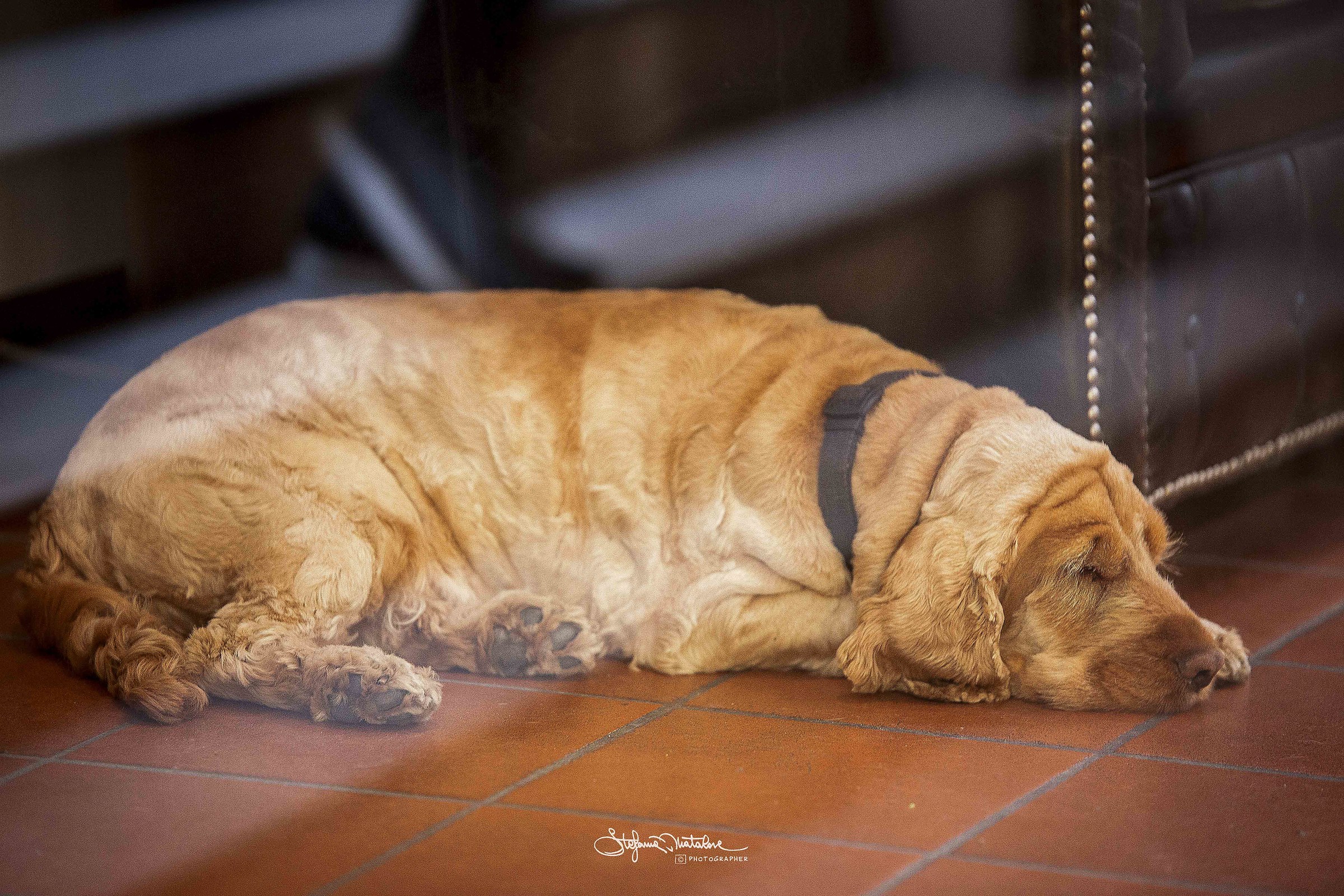 A good night's sleep