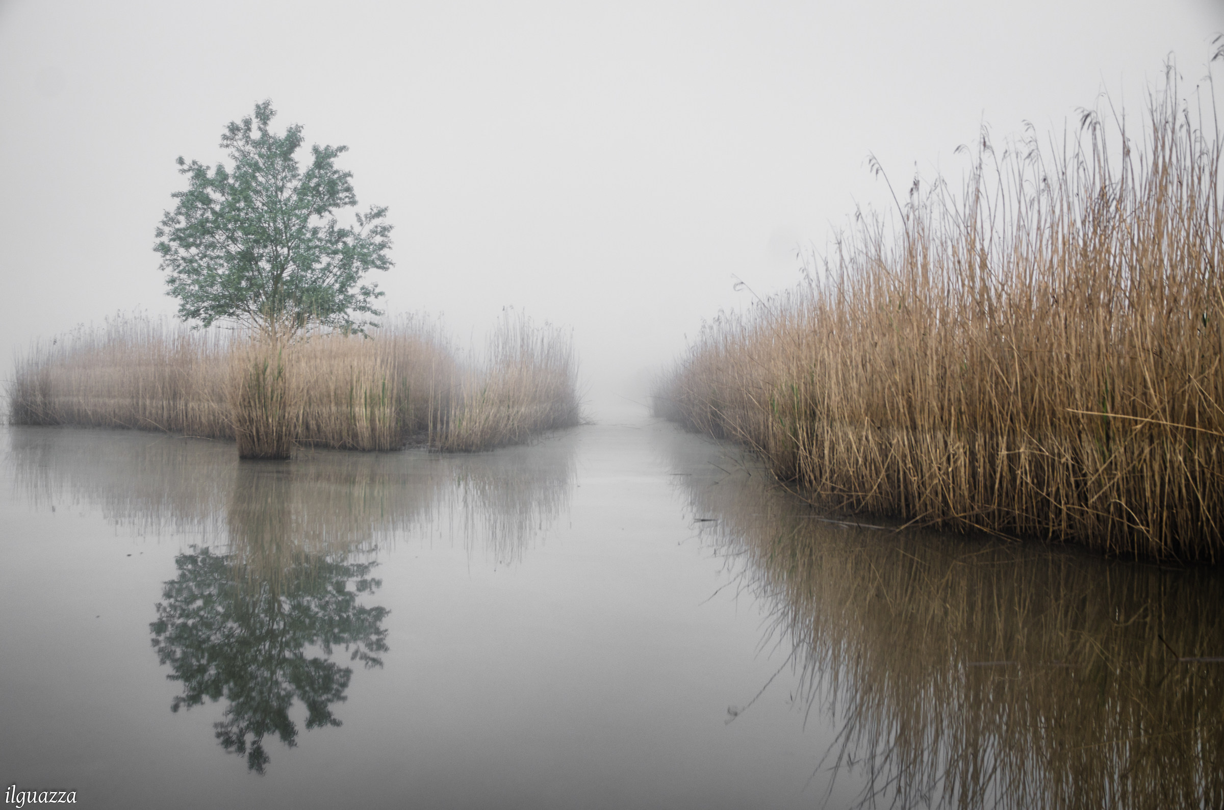 mists on the marshes