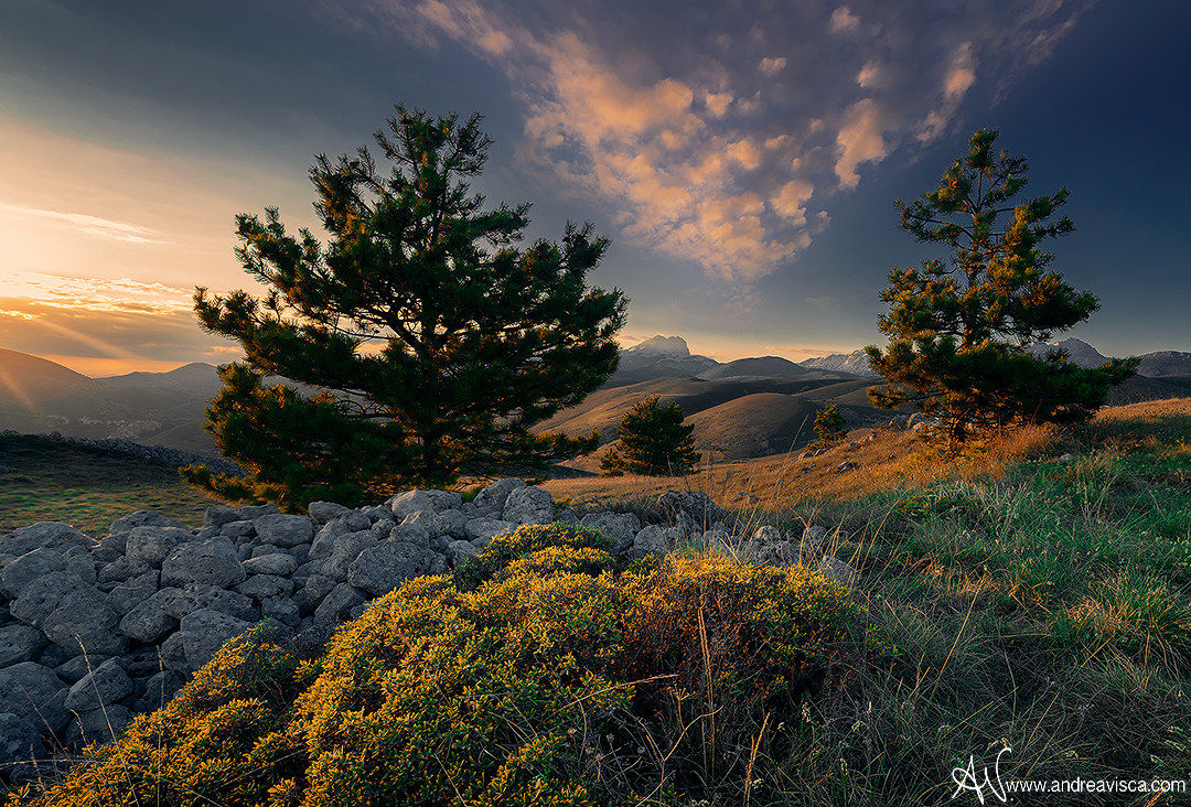 Glitter of the sunset