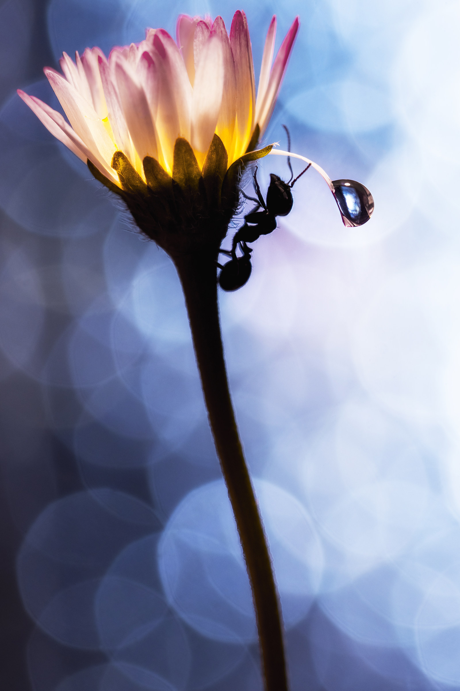 before going to sleep.