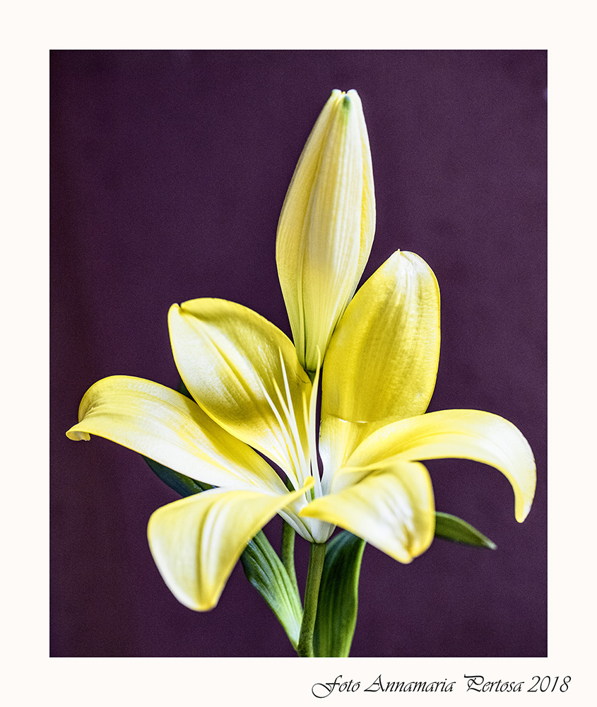 We accept advice and criticism