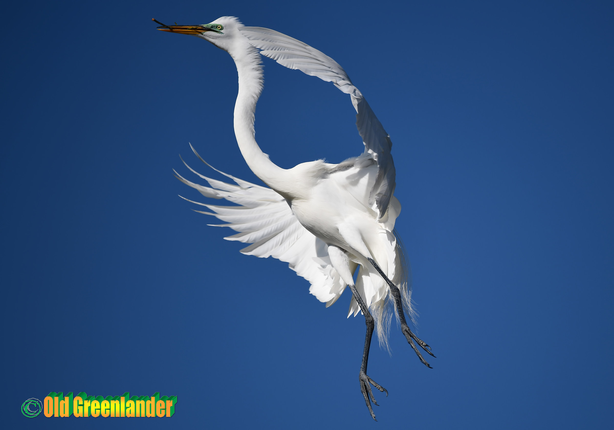 Entusiasta di essere casa