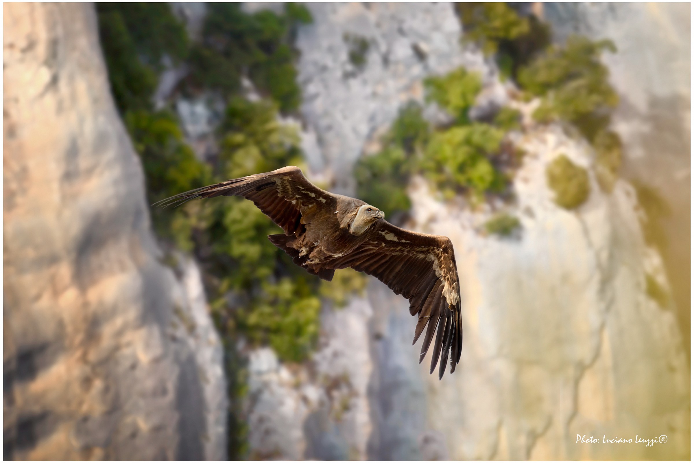 THE king of the Verdon