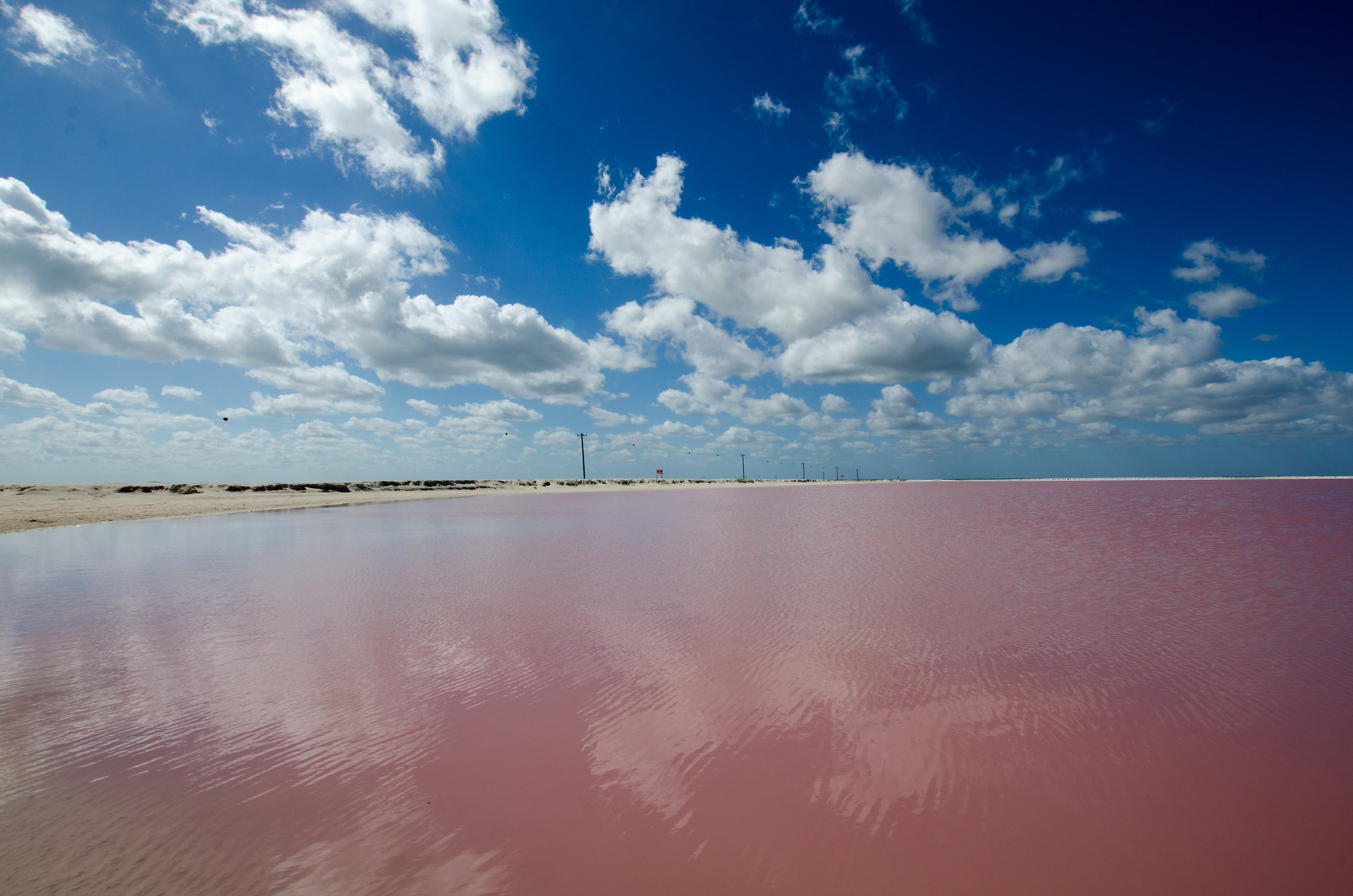 The pink Lake