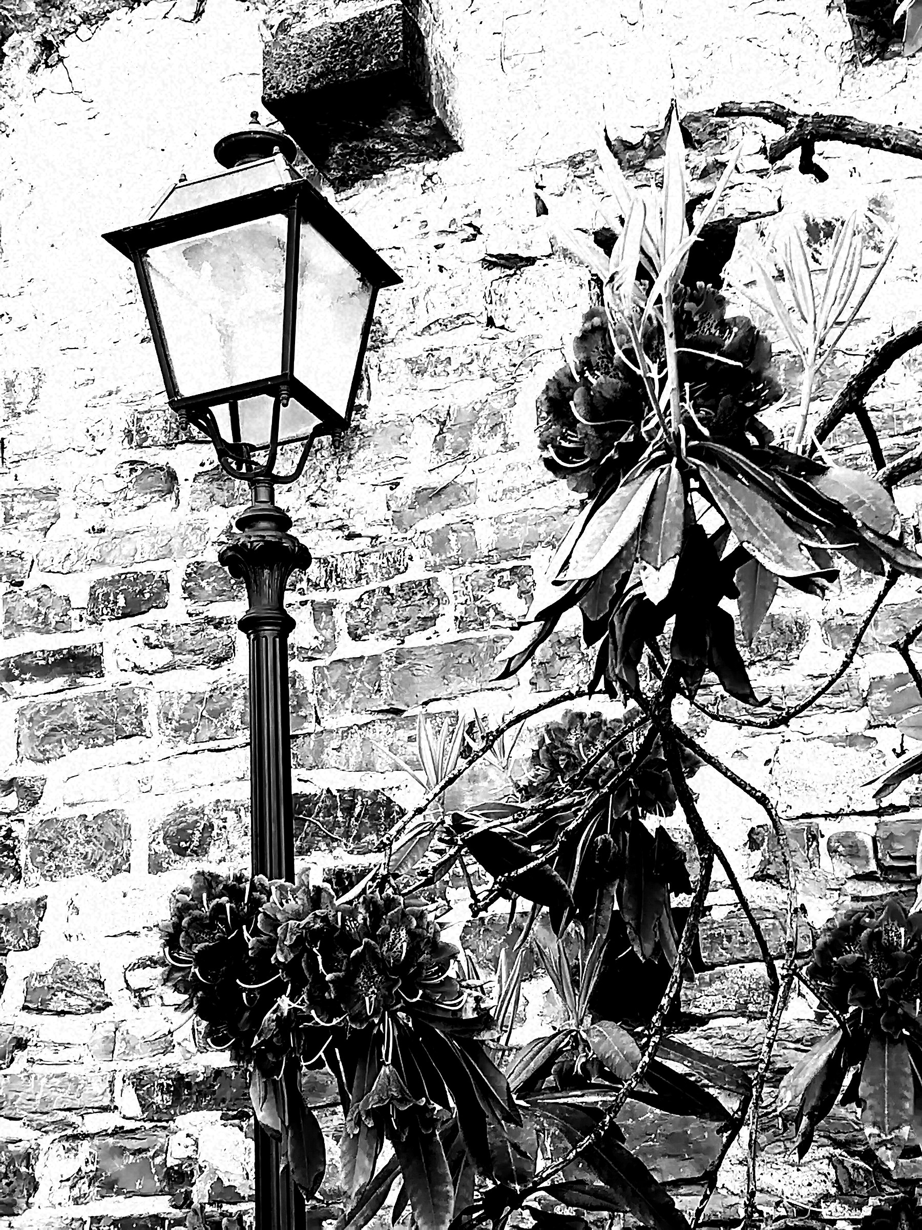 Villa Bardini-Florence