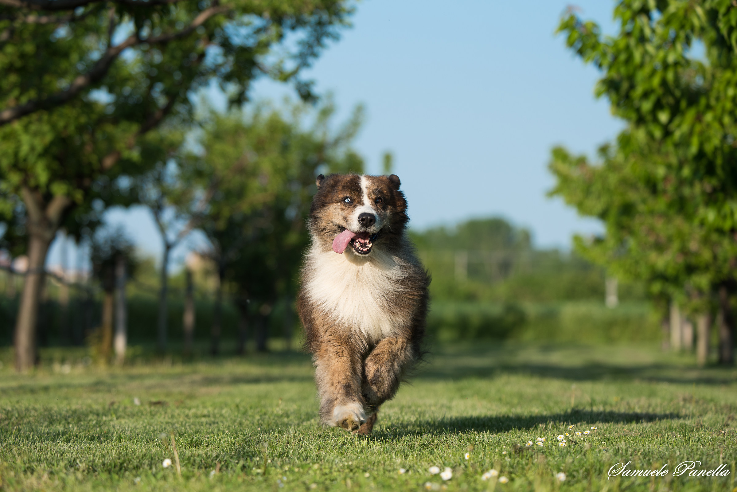 There's no tongue out