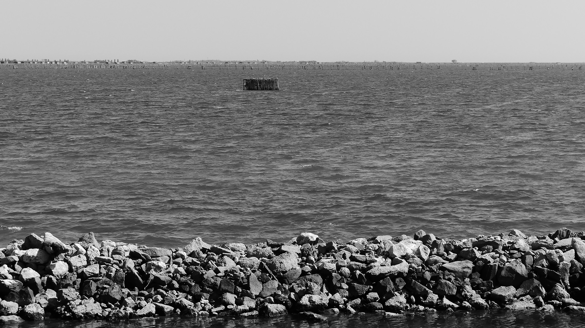 Sacca di Scardovari / mare