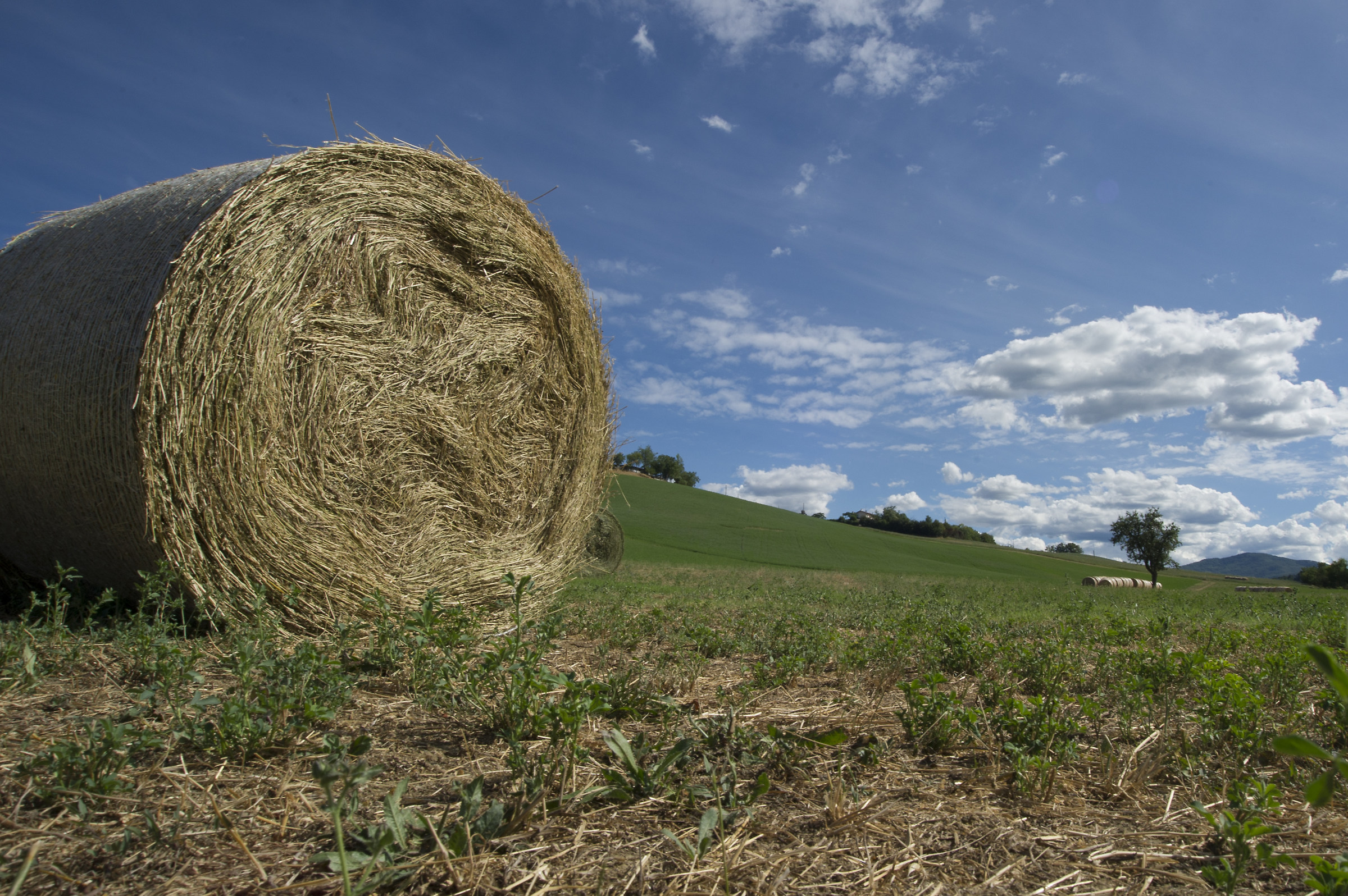 Hills of Val Baganza