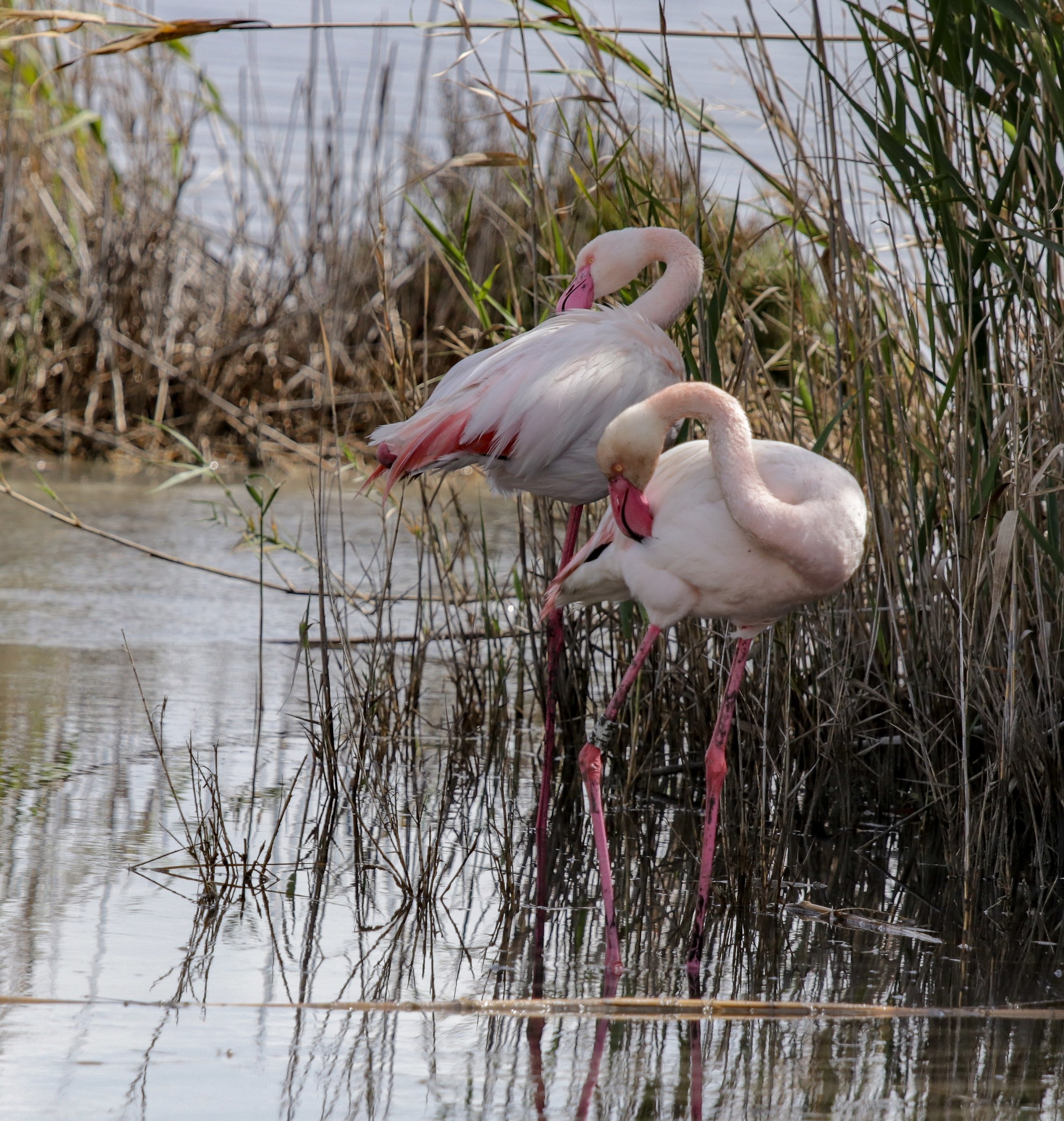 Sheltered from the wind