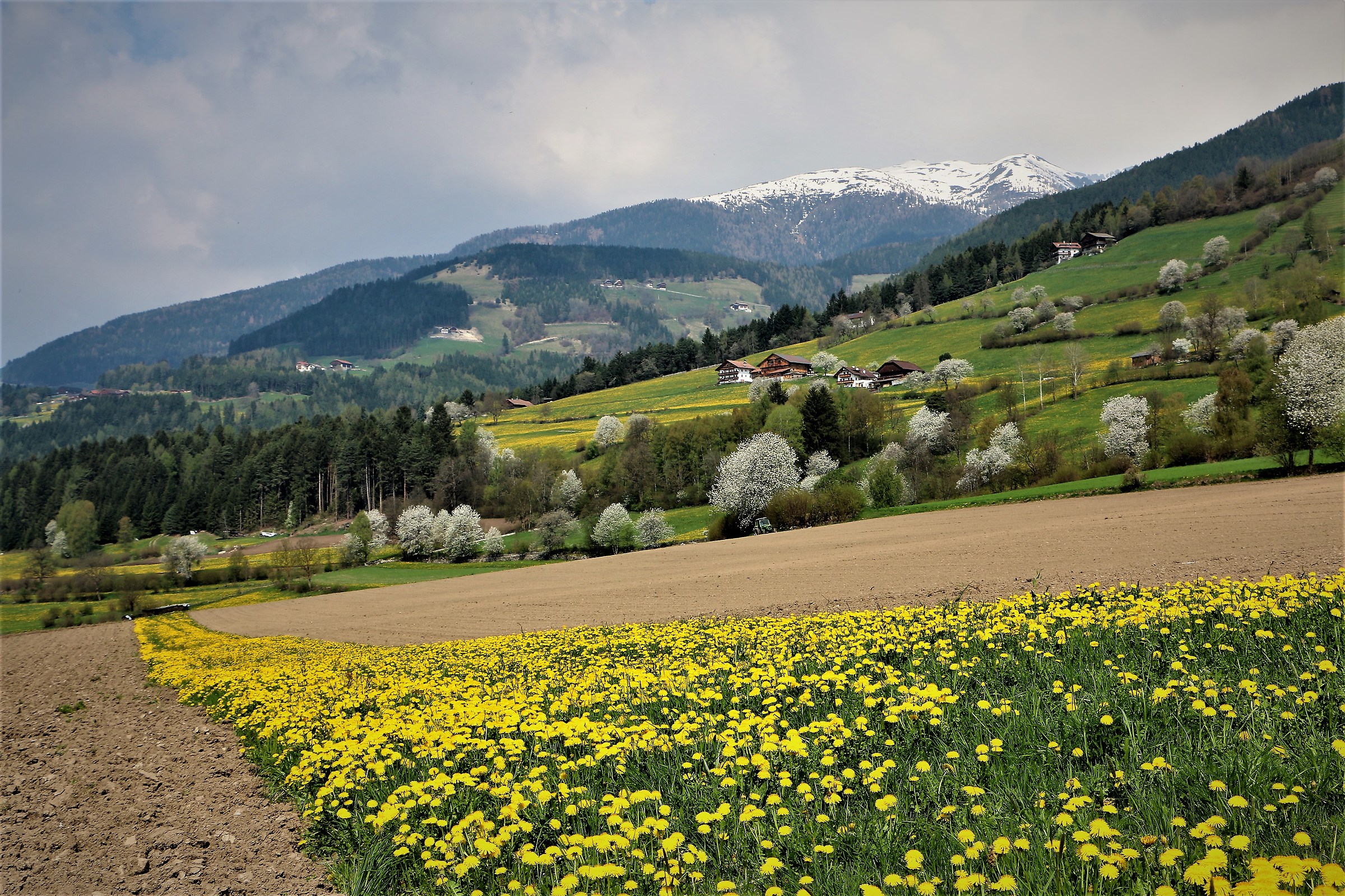 La val Pusteria si fa bella