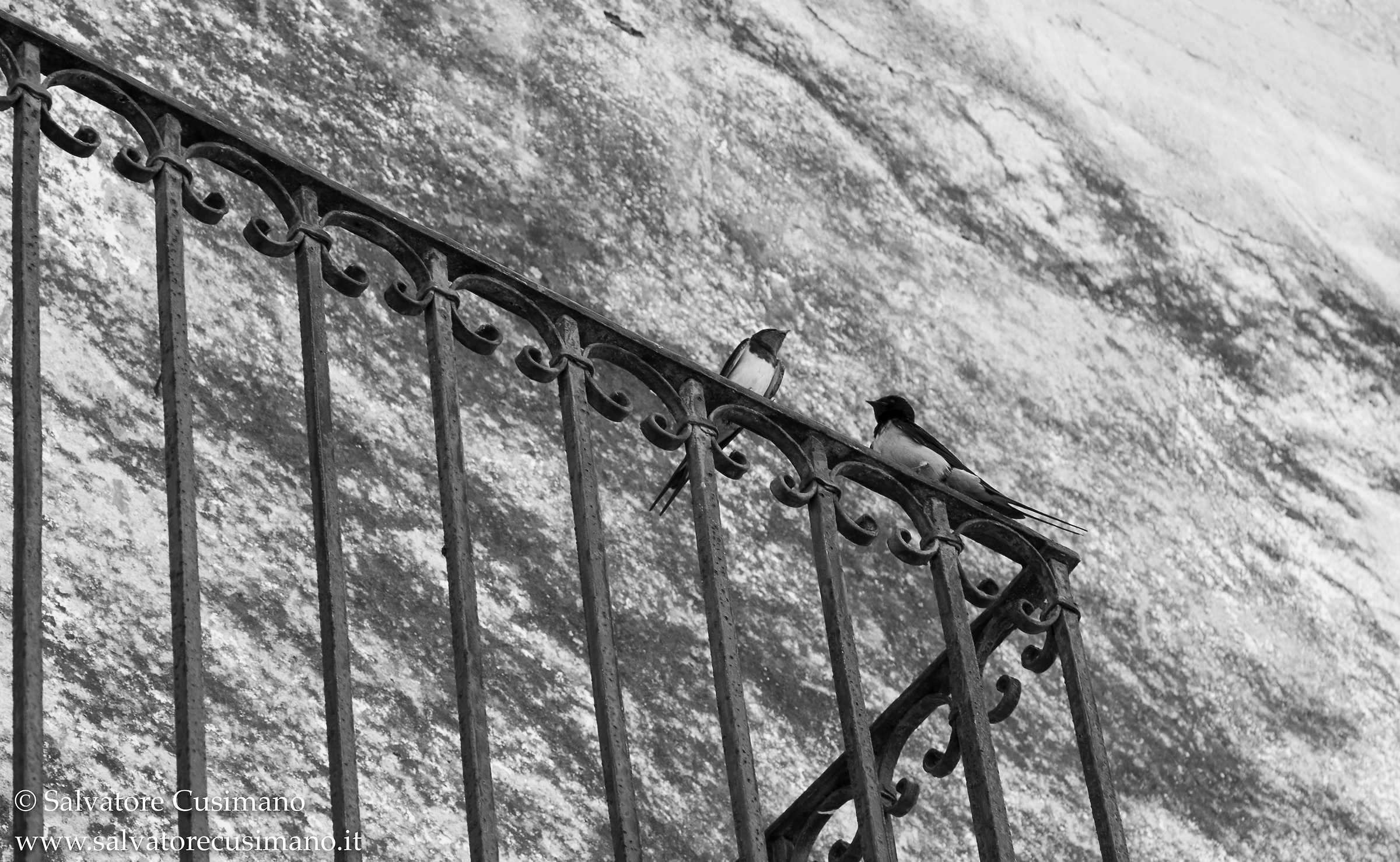 Dialogue between lovers