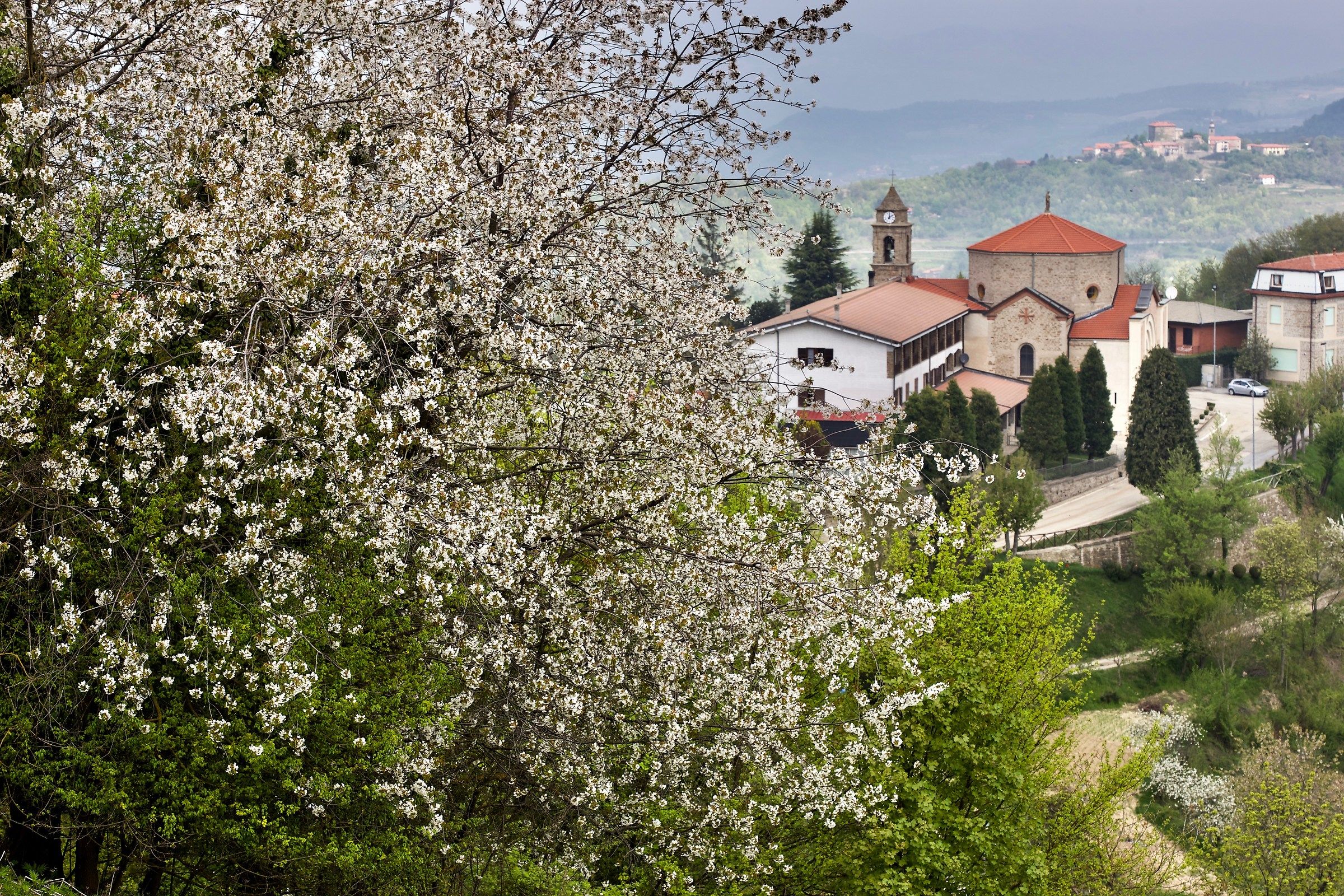 Santuario del Todocco