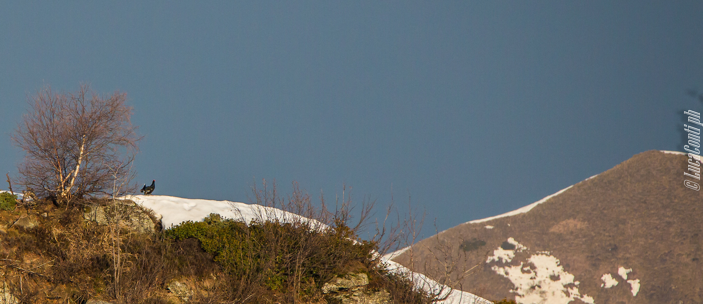 Begin the dances in Arena