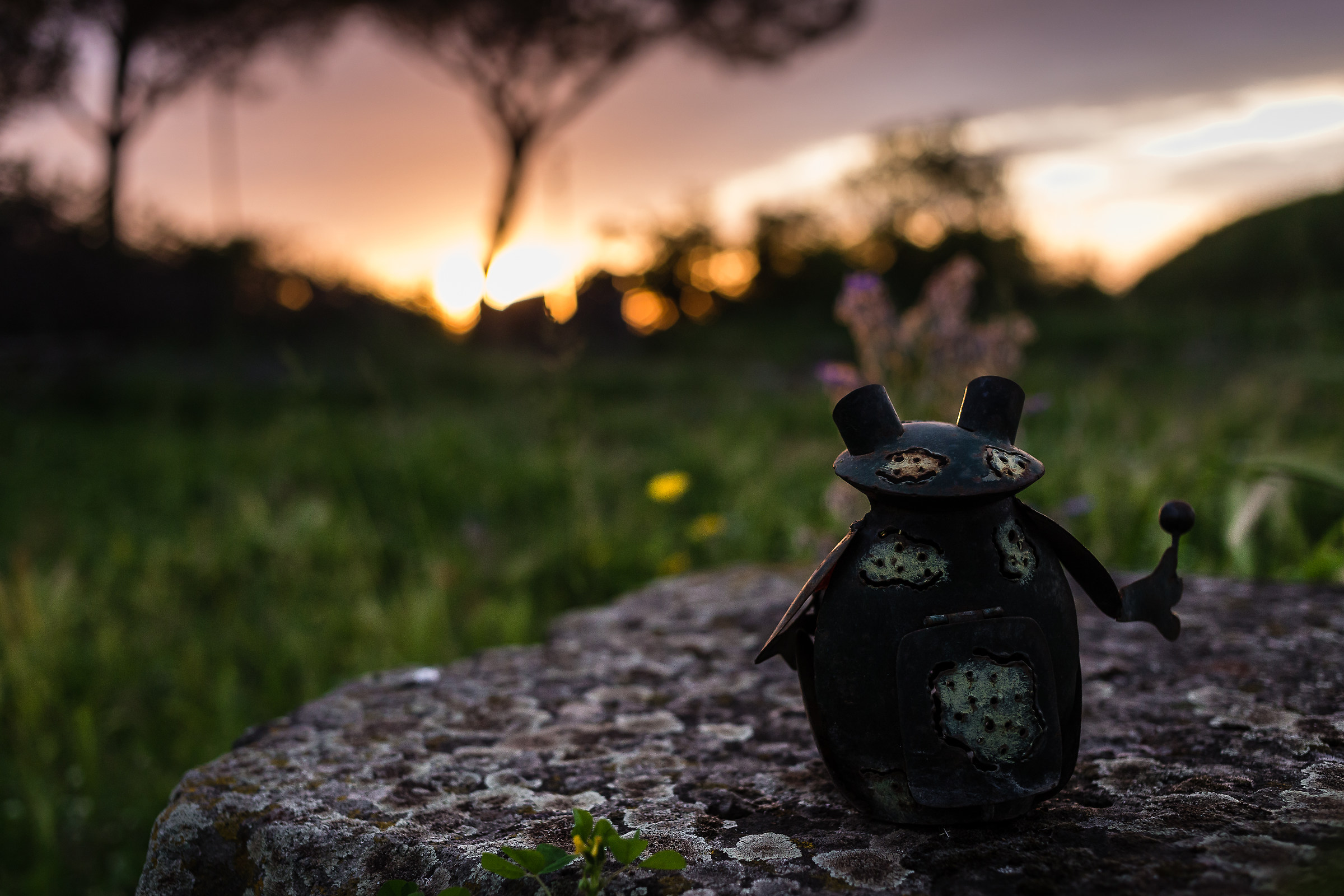 Sometimes photographer