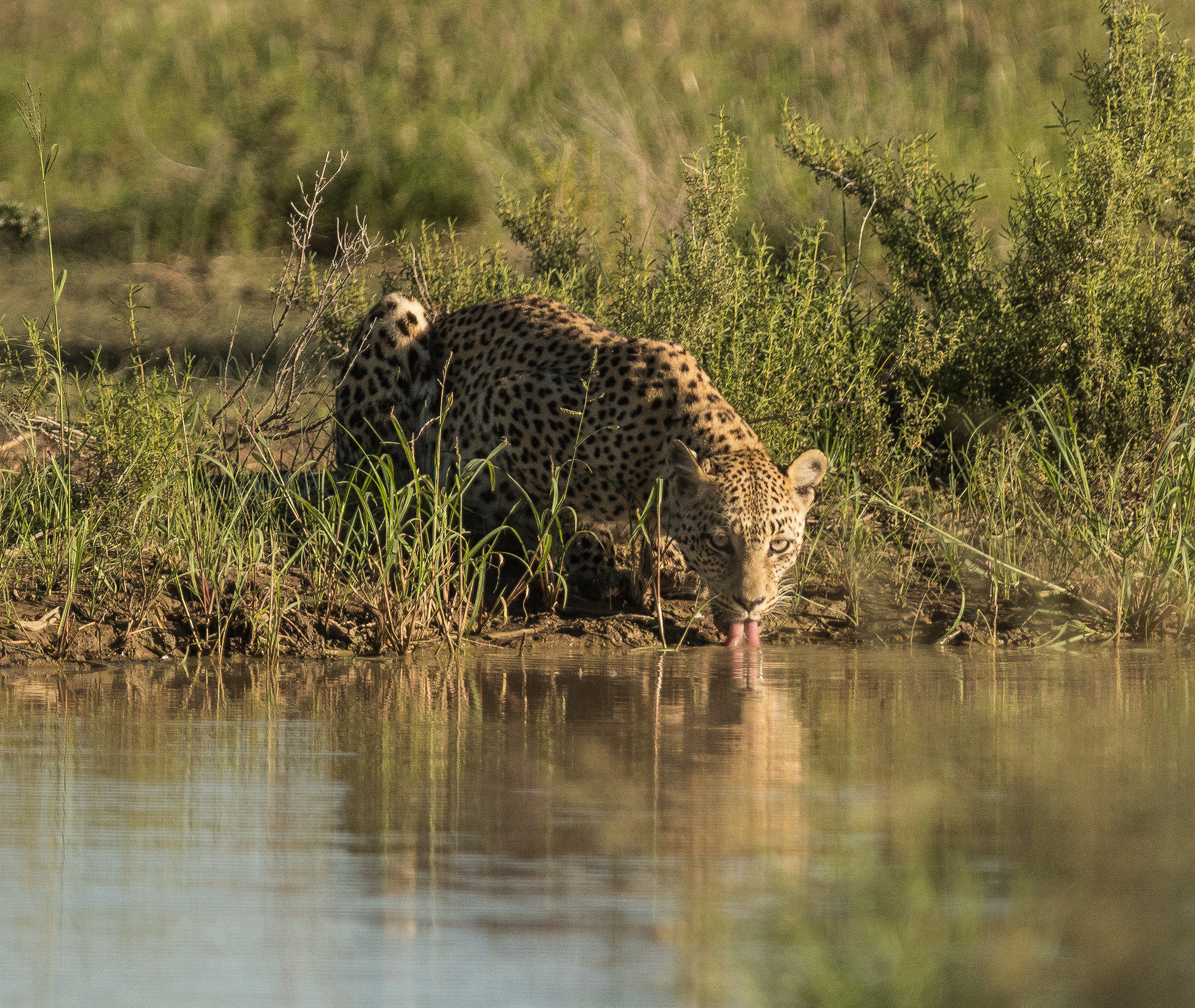 the waiting always pays