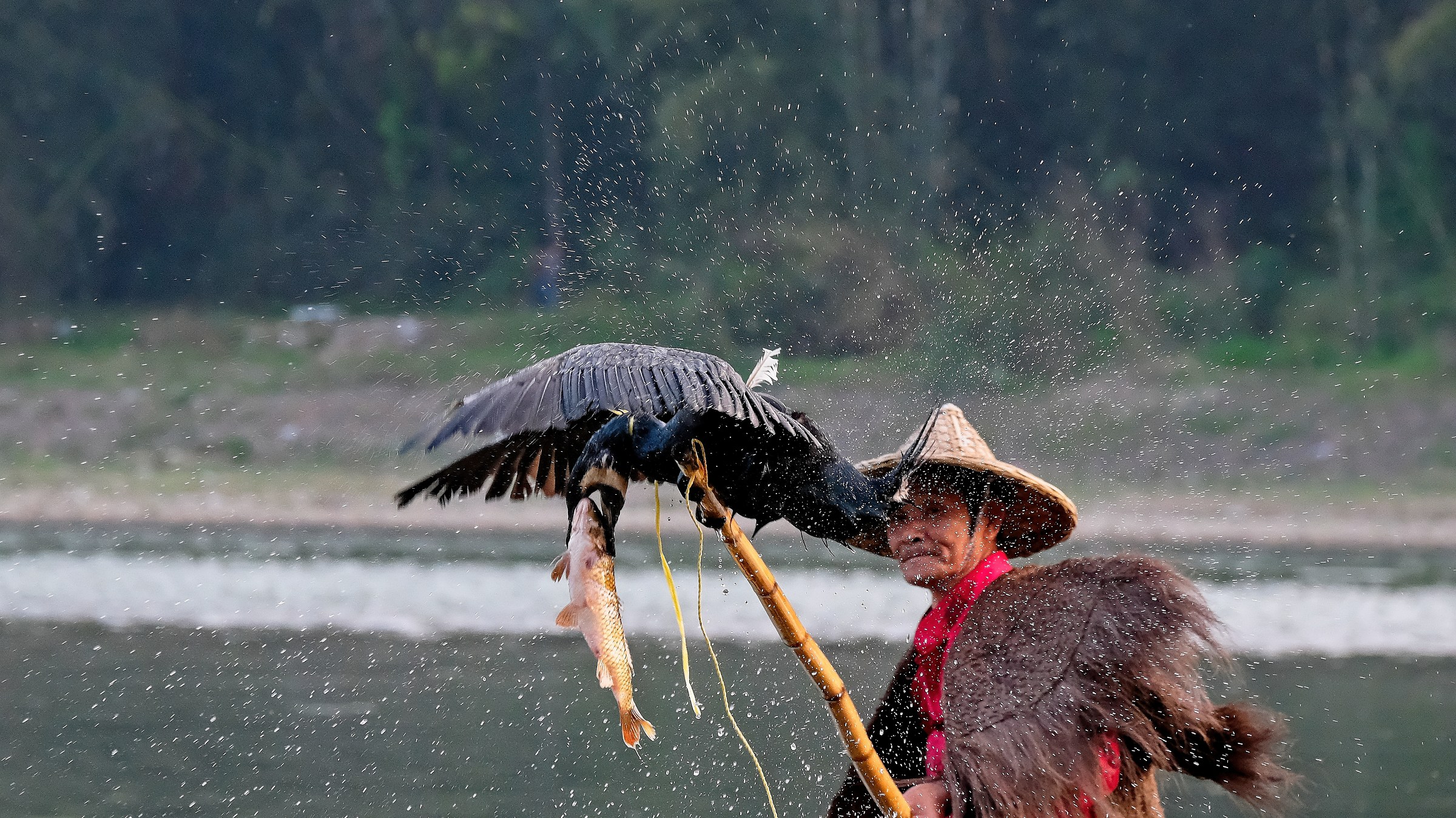 Cina 2018 - Pescatori con i Cormorani