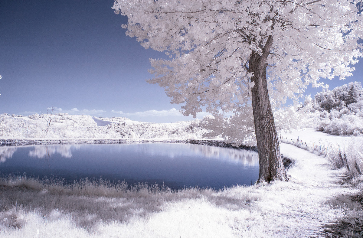 Collina Modenese Aprile 2018